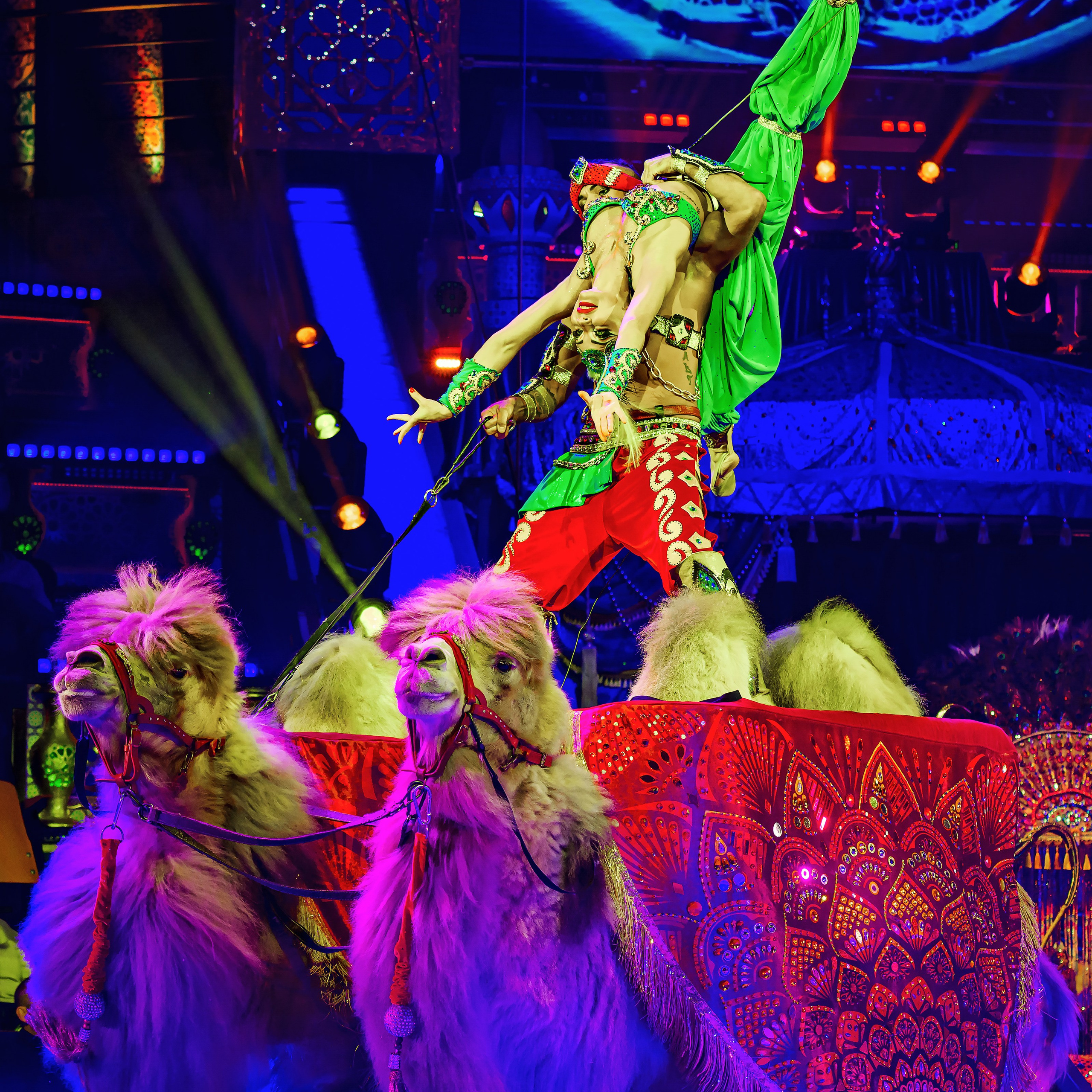 Песчаная сказка — Нижегородский Государственный Цирк (Премьера). Цирковой фотограф Андрей Пухов (Jazz)