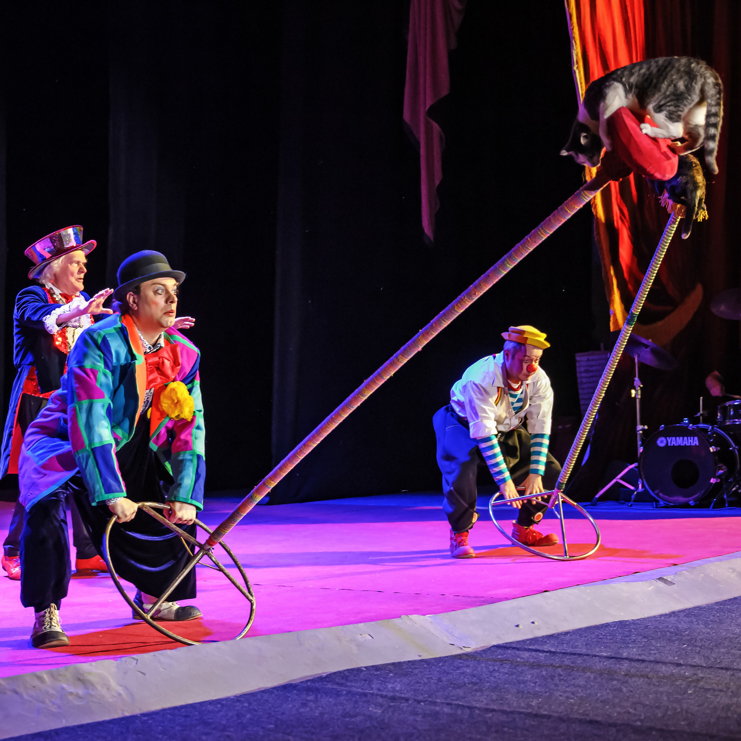 Великий клоун, Народный артист России, Юрий Куклачёв со звёздами эстрады и цирка, уникальный бенефис!. Фотограф Андрей Пухов (Jazz)