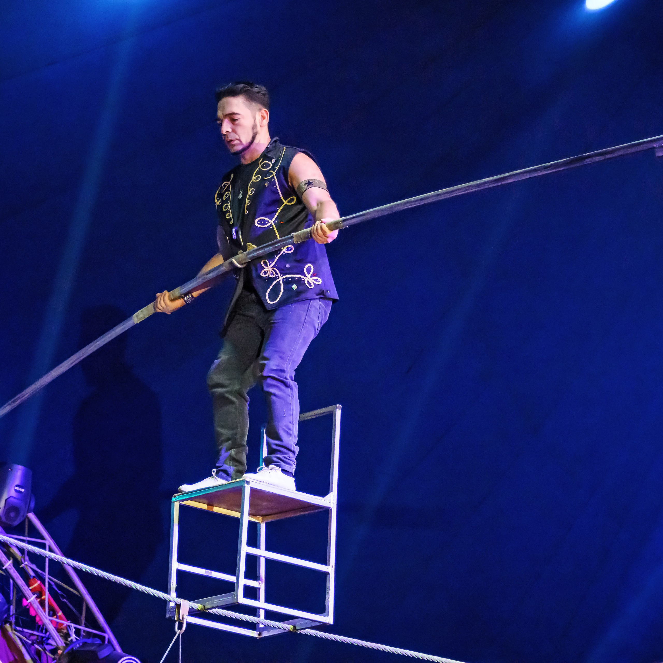 Шоу Демидовых. Цирковой фотограф Андрей Пухов (Jazz)