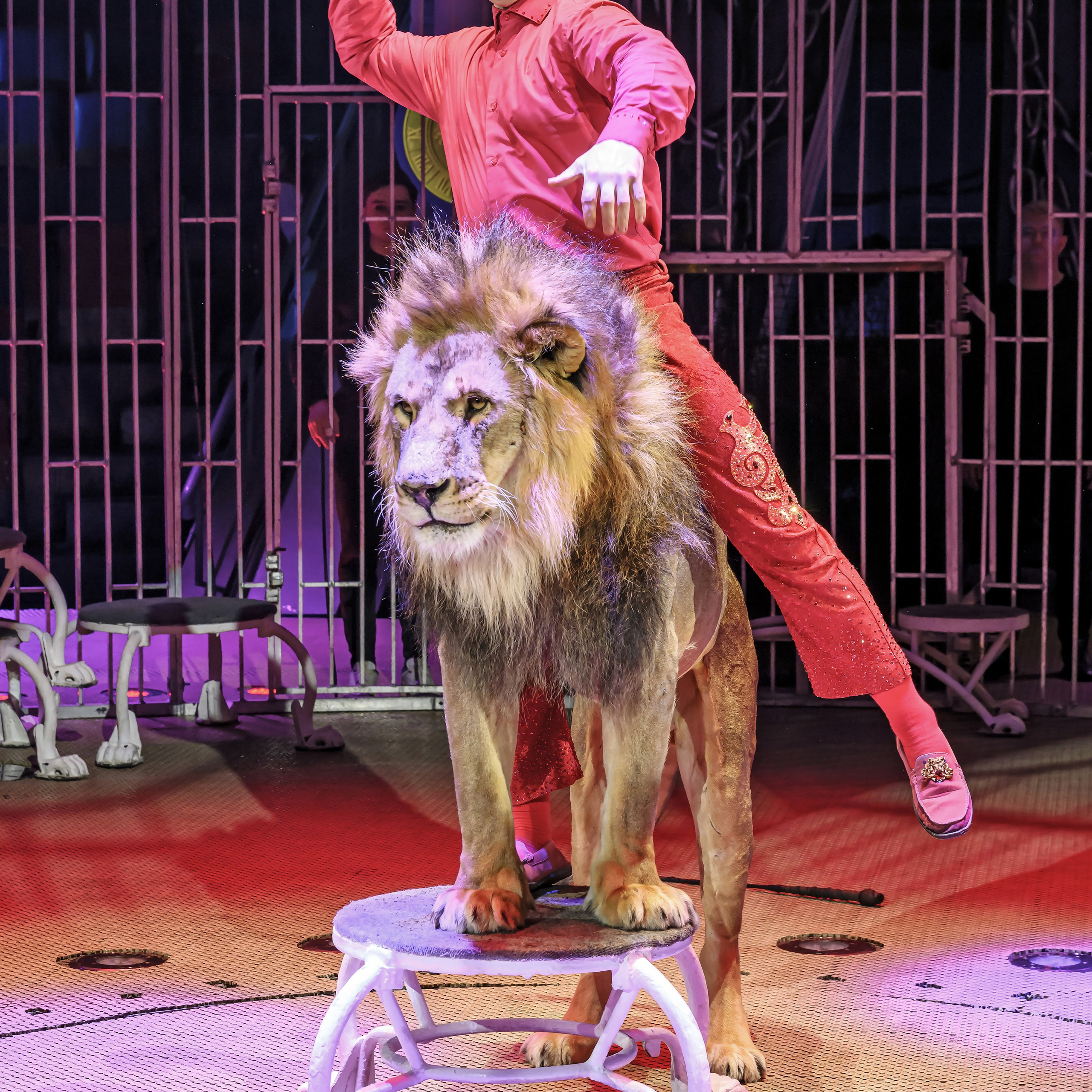 «13 месяцев. Шоу ледяных фонтанов»❄💙. Фотограф Андрей Пухов (Jazz)