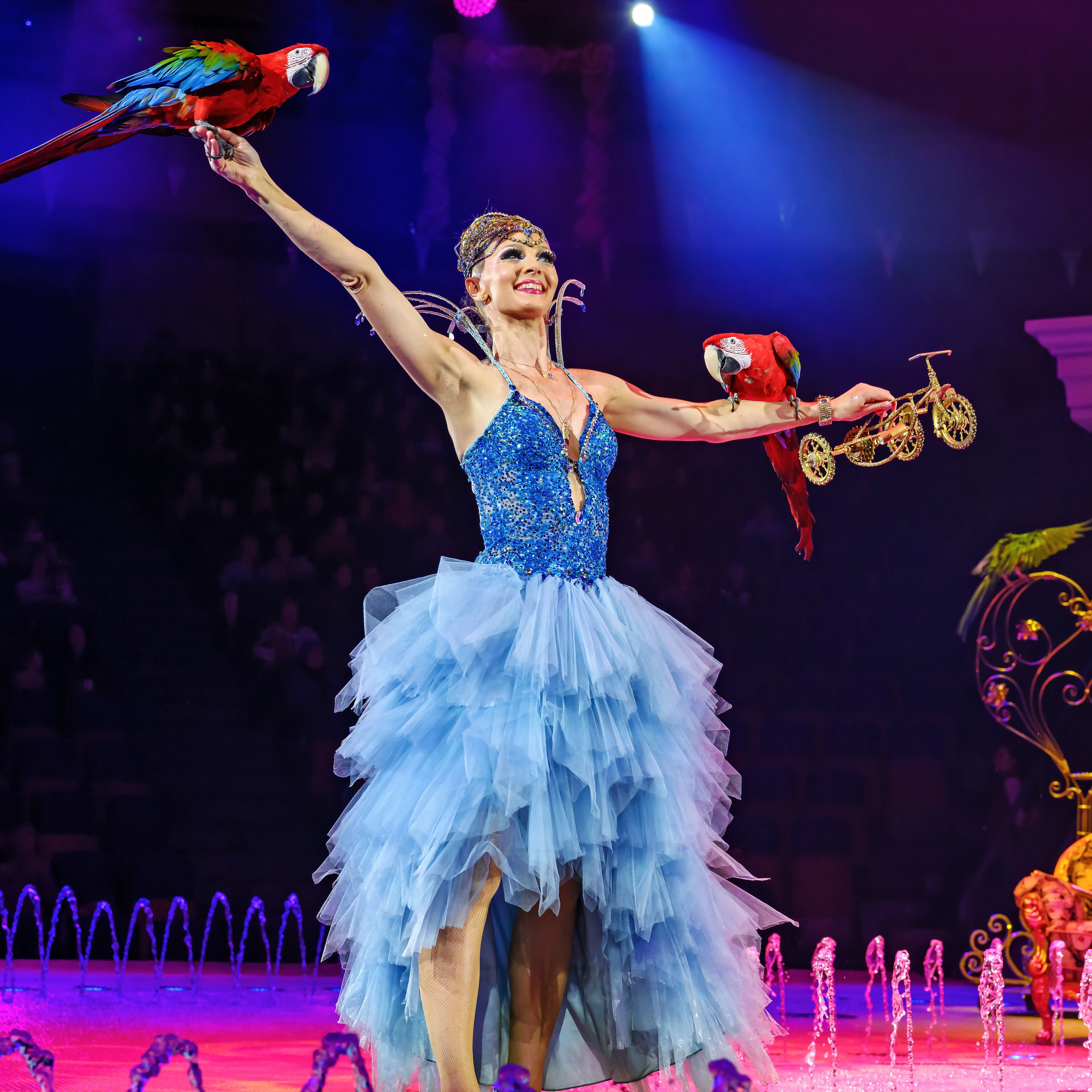 «13 месяцев. Шоу ледяных фонтанов»❄💙. Фотограф Андрей Пухов (Jazz)