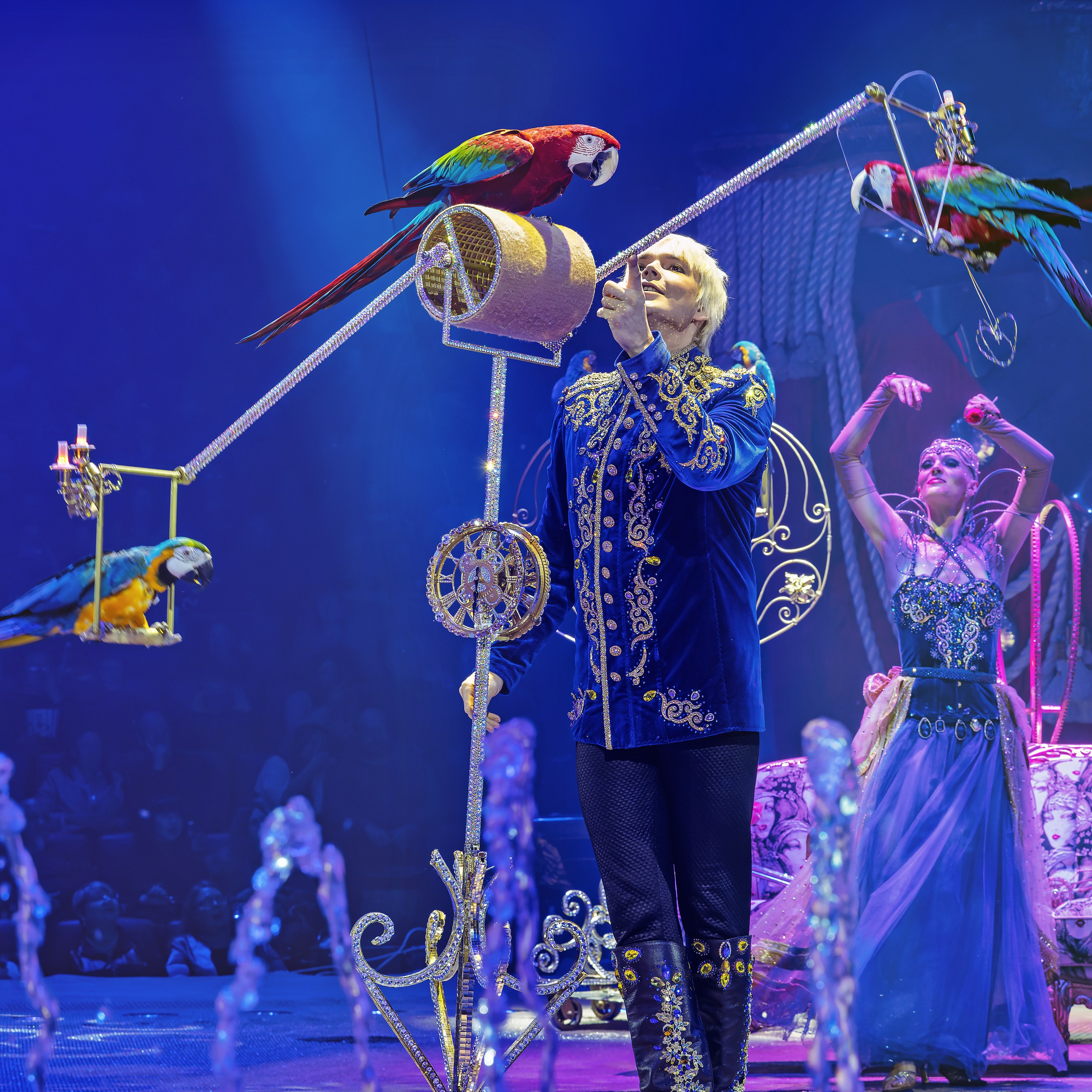 Шоу фонтанов «Принц цирка» 🎪 09.11.2024. Фотограф Андрей Пухов (Jazz)