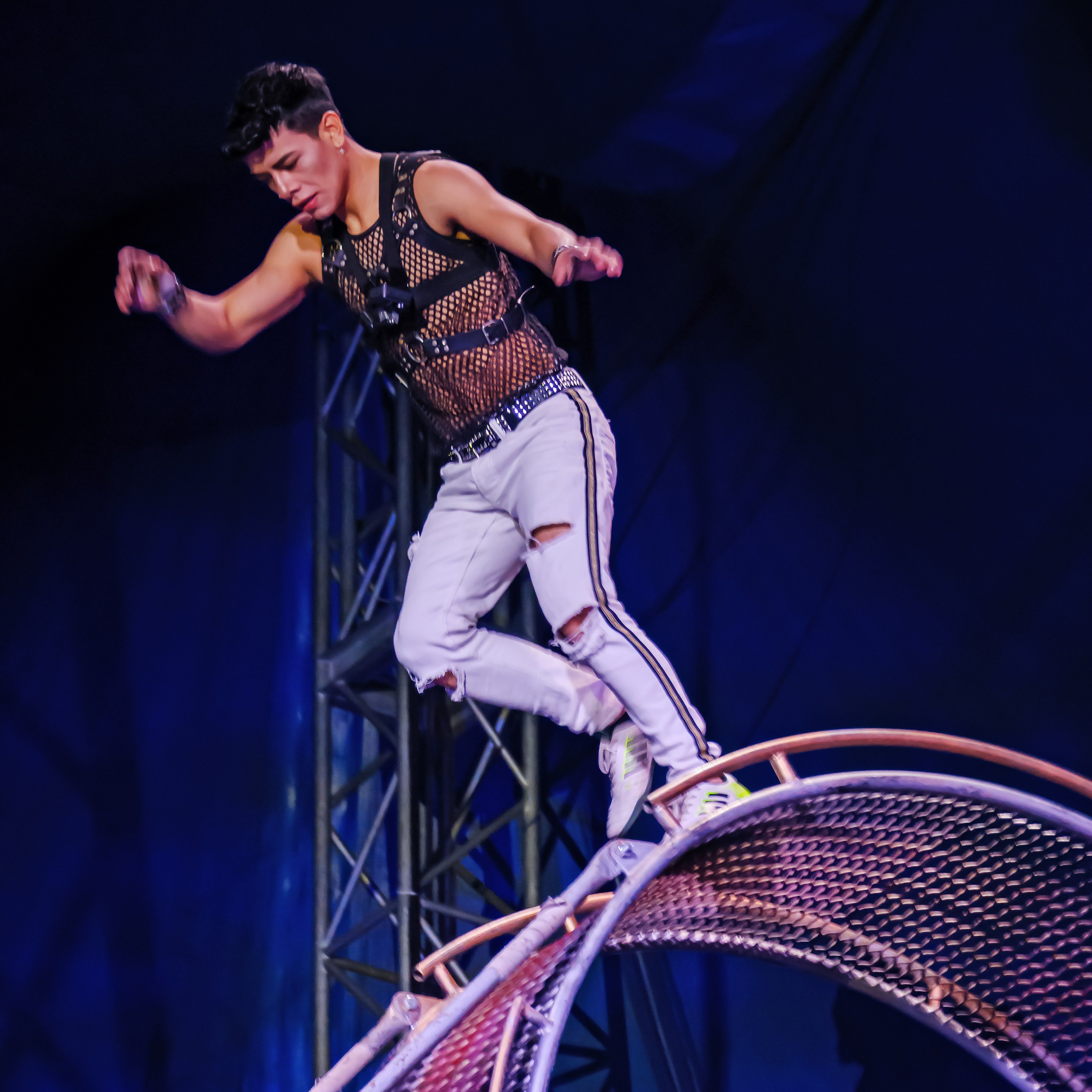 Шоу Демидовых. Цирковой фотограф Андрей Пухов (Jazz)