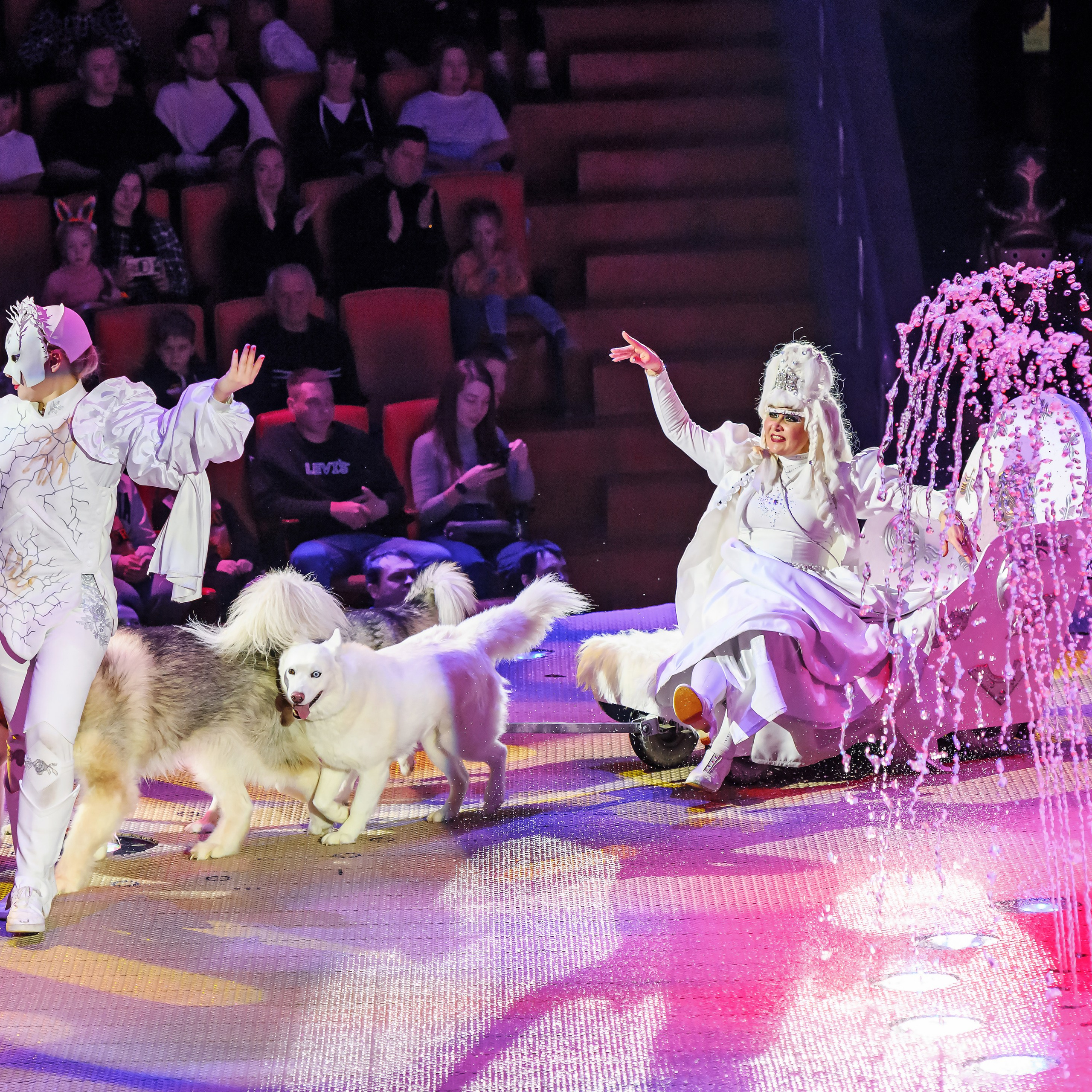 Принц Цирка (Продюсерский центр Влада Гончарова)🎪🦁. Фотограф Андрей Пухов (Jazz)