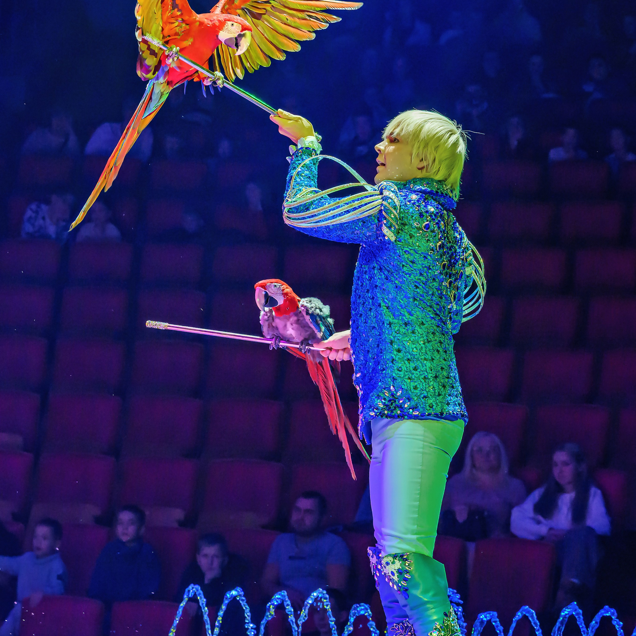 «13 месяцев. Шоу ледяных фонтанов»❄💙. Фотограф Андрей Пухов (Jazz)