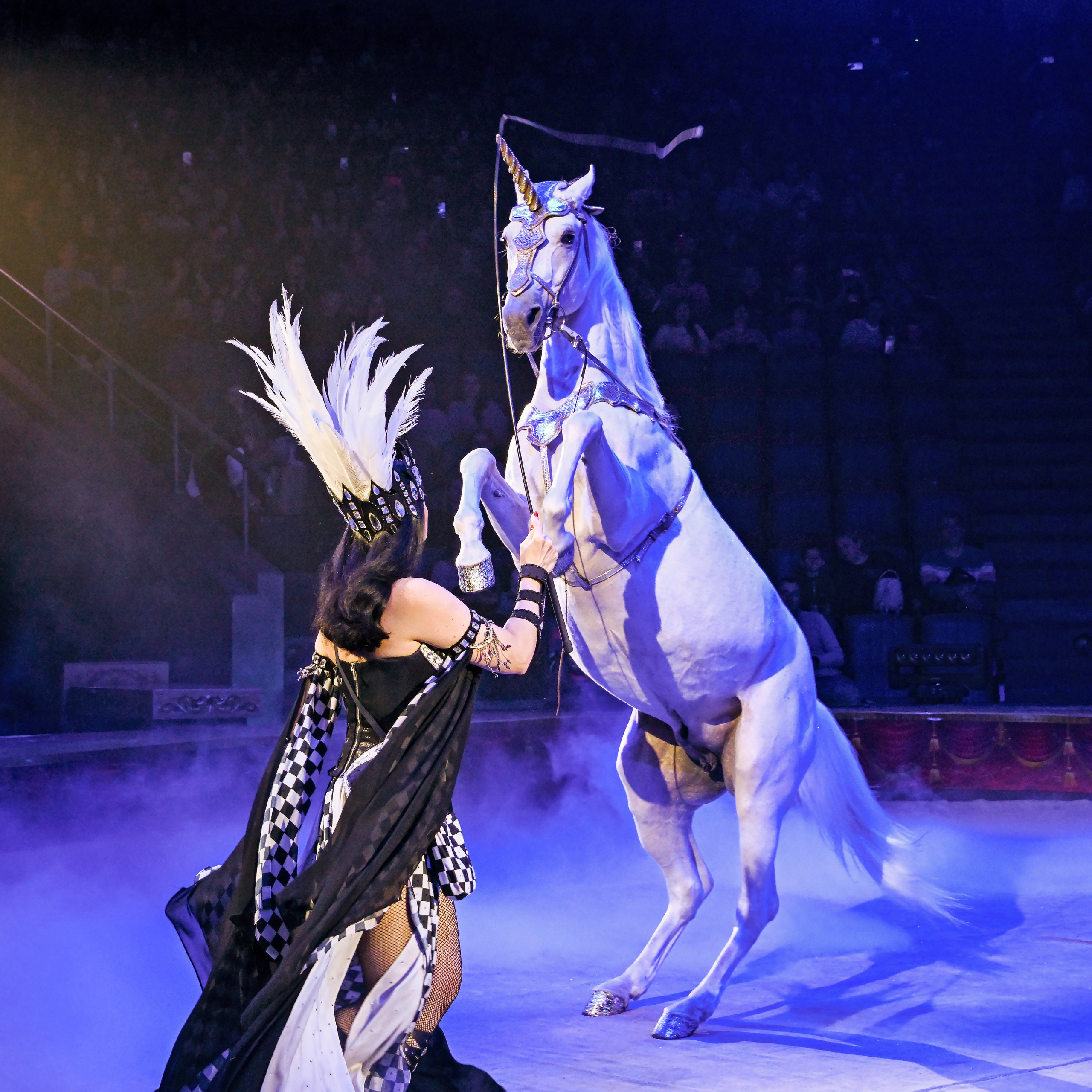 Вечное искусство удивлять: Королевский цирк Гии Эрадзе 👑 Роскошь здесь в каждой детали 💫✨⭐. Фотограф Андрей Пухов (Jazz)