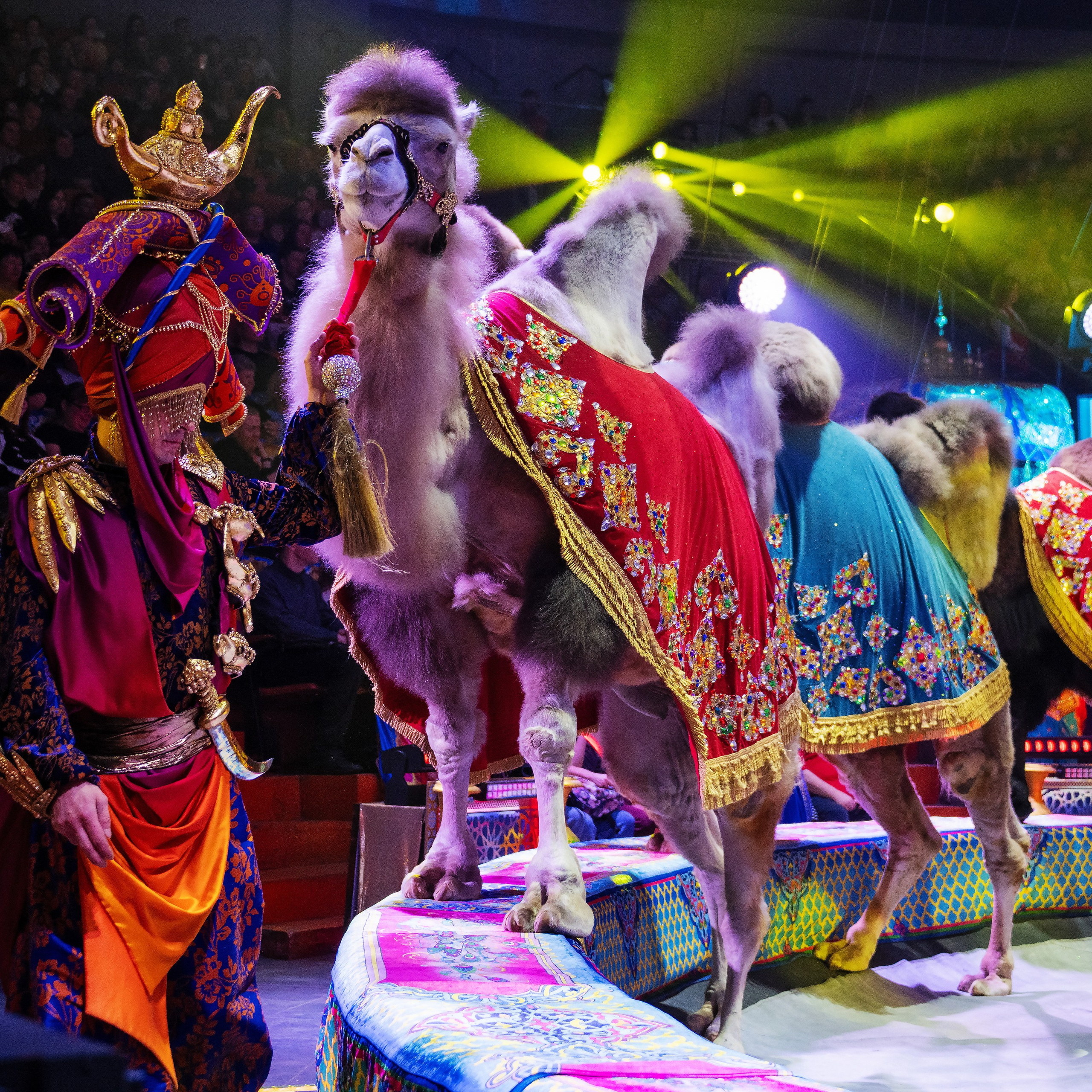 Песчаная сказка Гии Эрадзе — волшебное шоу 🎪, которое должен увидеть каждый, кто ценит красоту🌹, талант 🎭 и умение мечтать 💫. Цирковой фотограф Андрей Пухов (Jazz)