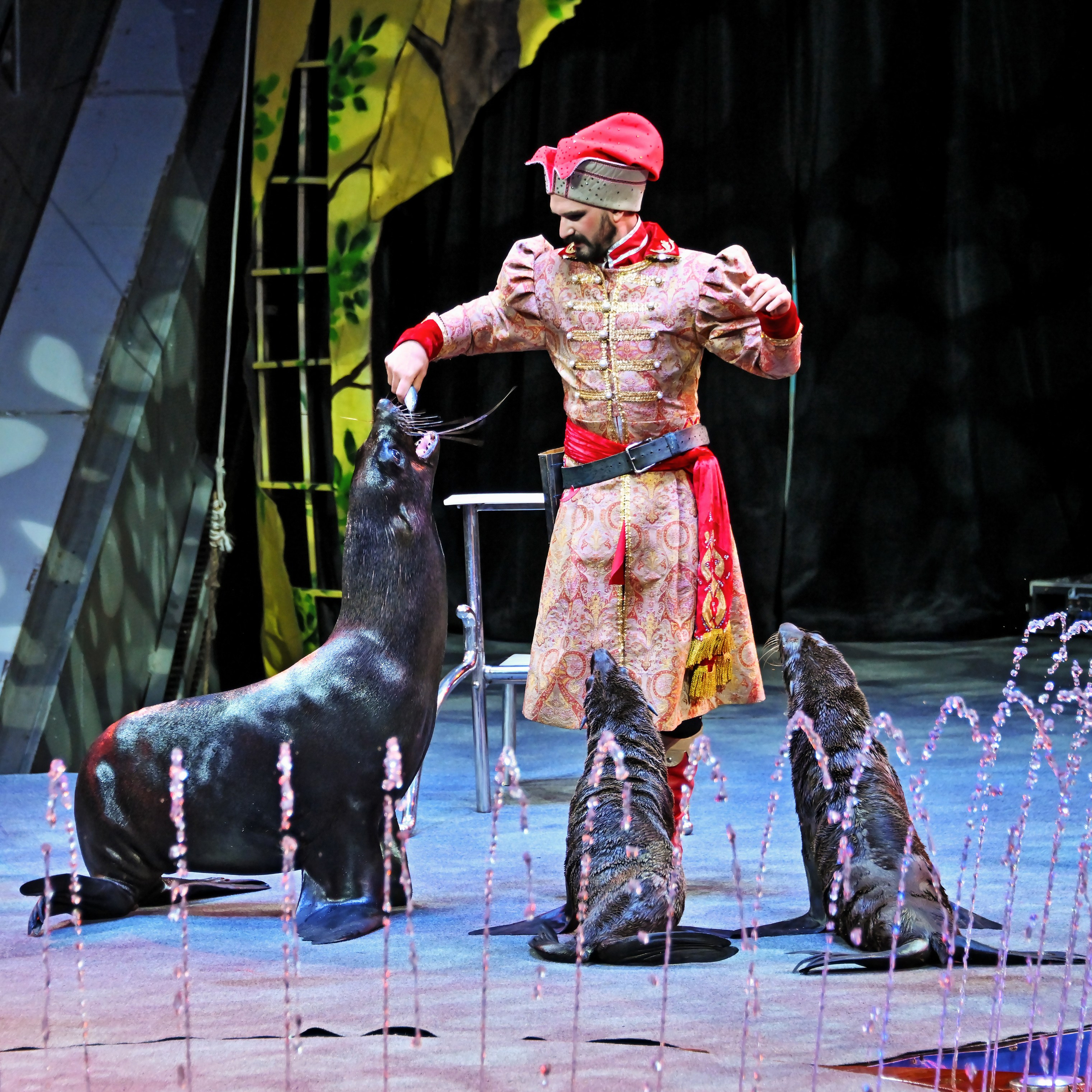 🎪 «Цирк на воде💦 🏰Царство фонтанов**»✨🌊🎭. Фотограф Андрей Пухов (Jazz)