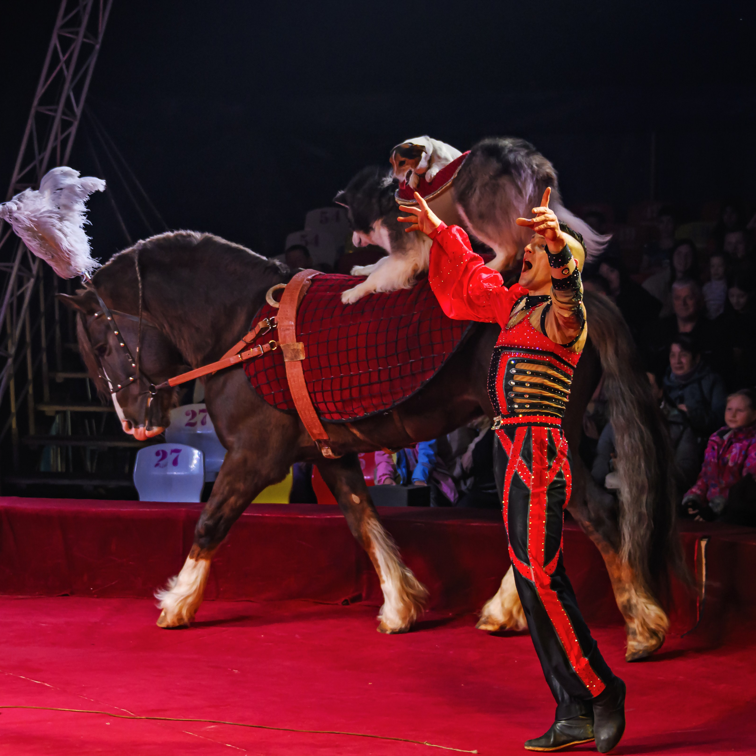 Международный цирк"HAPPY CIRCUS». Фотограф Андрей Пухов (Jazz)
