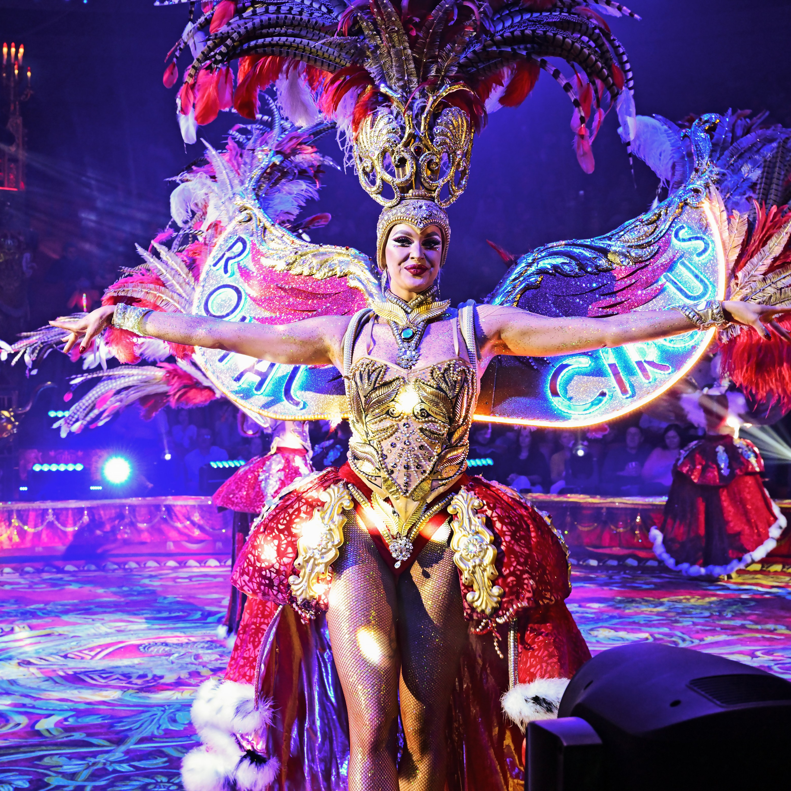 Шоу «Королевский цирк». Фотограф Андрей Пухов (Jazz)