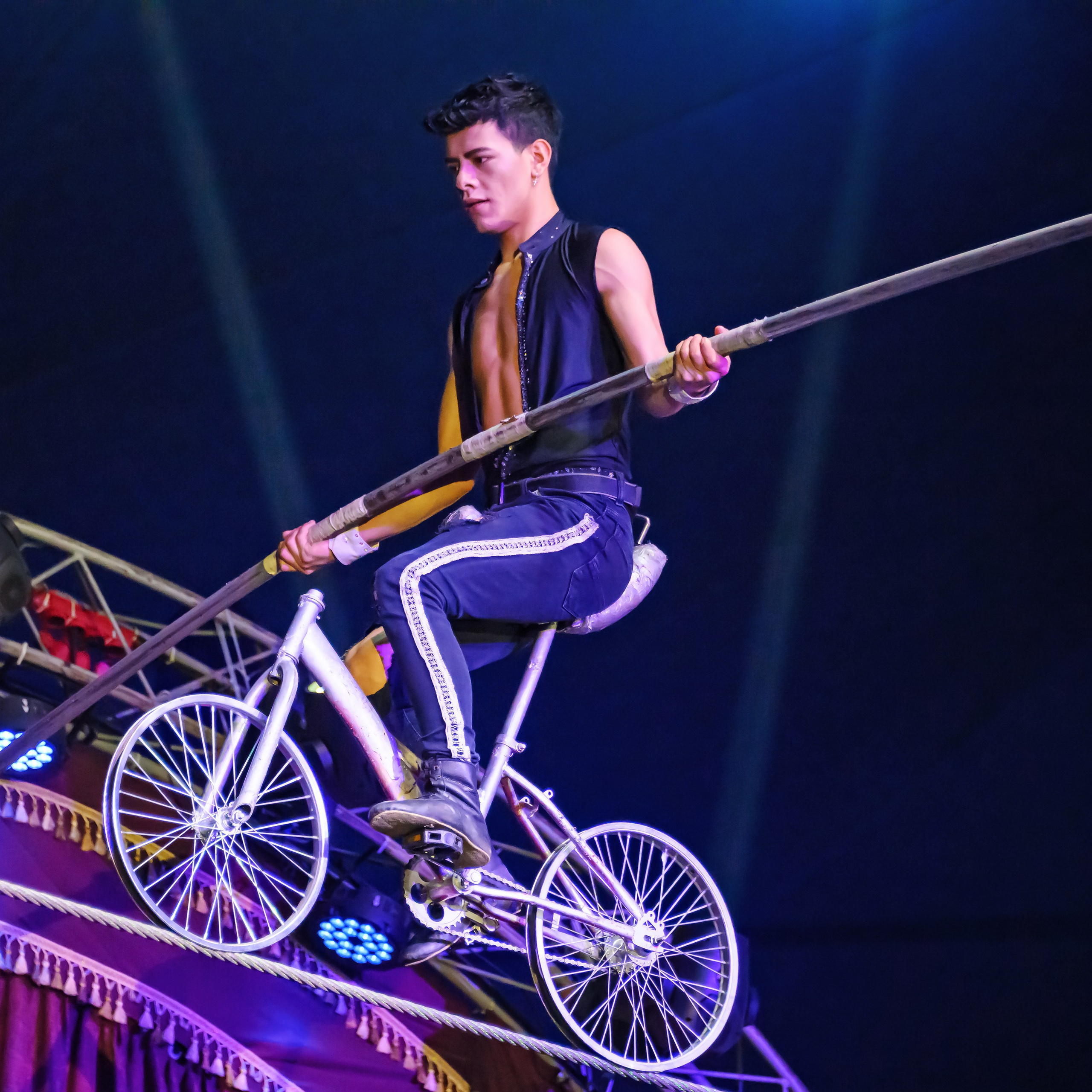 Шоу Демидовых. Цирковой фотограф Андрей Пухов (Jazz)