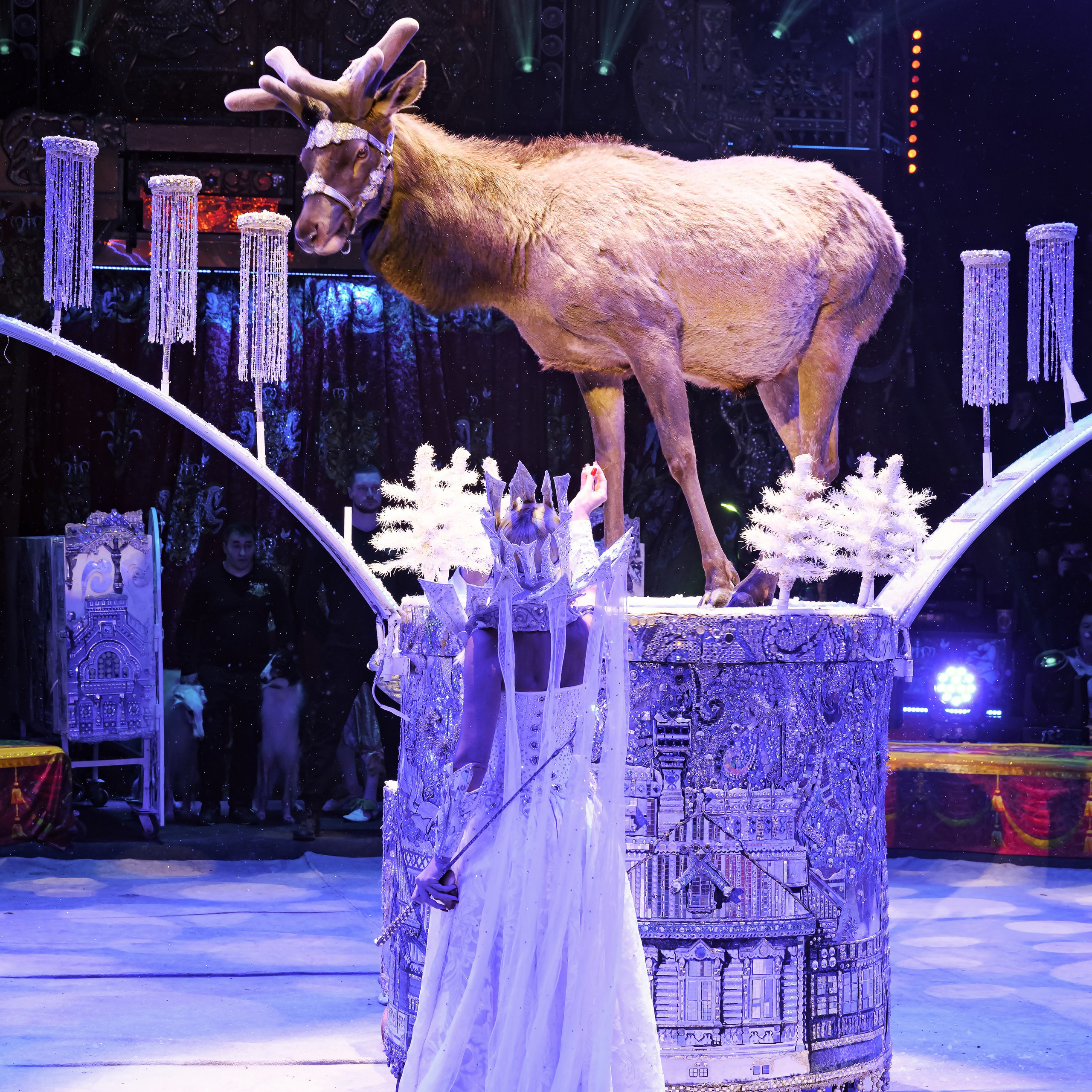 Шоу «Королевский цирк». Фотограф Андрей Пухов (Jazz)