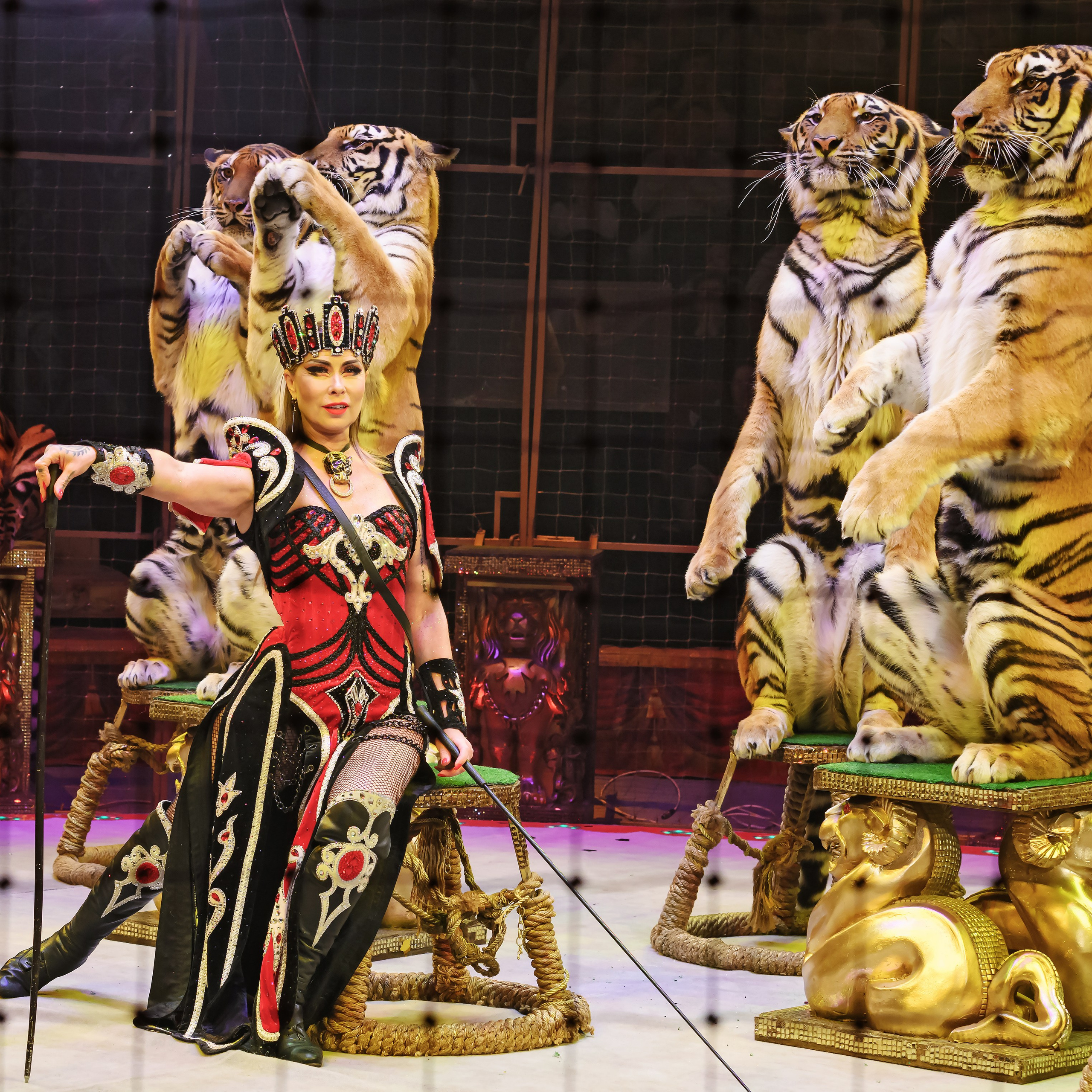 ГРАНДИОЗНОЕ ЦИРКОВОЕ ШОУ ЗАСЛУЖЕННОГО АРТИСТА РОССИИ ГИИ ЭРАДЗЕ. Фотограф Андрей Пухов (Jazz)