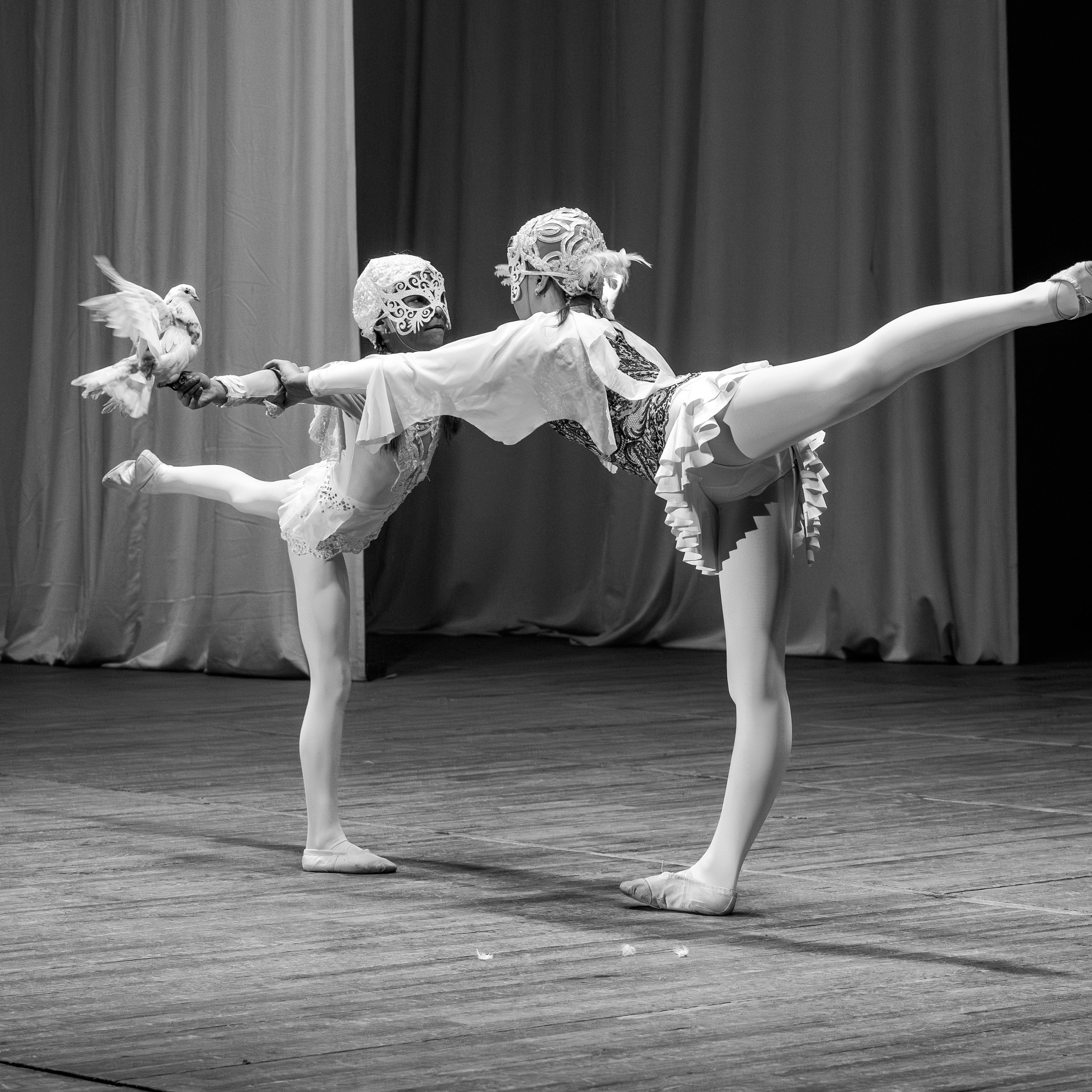 Народный коллектив, цирк «Юность» ДК ГАЗ, г. Нижний Новгород 👏. Фотограф Андрей Пухов (Jazz)