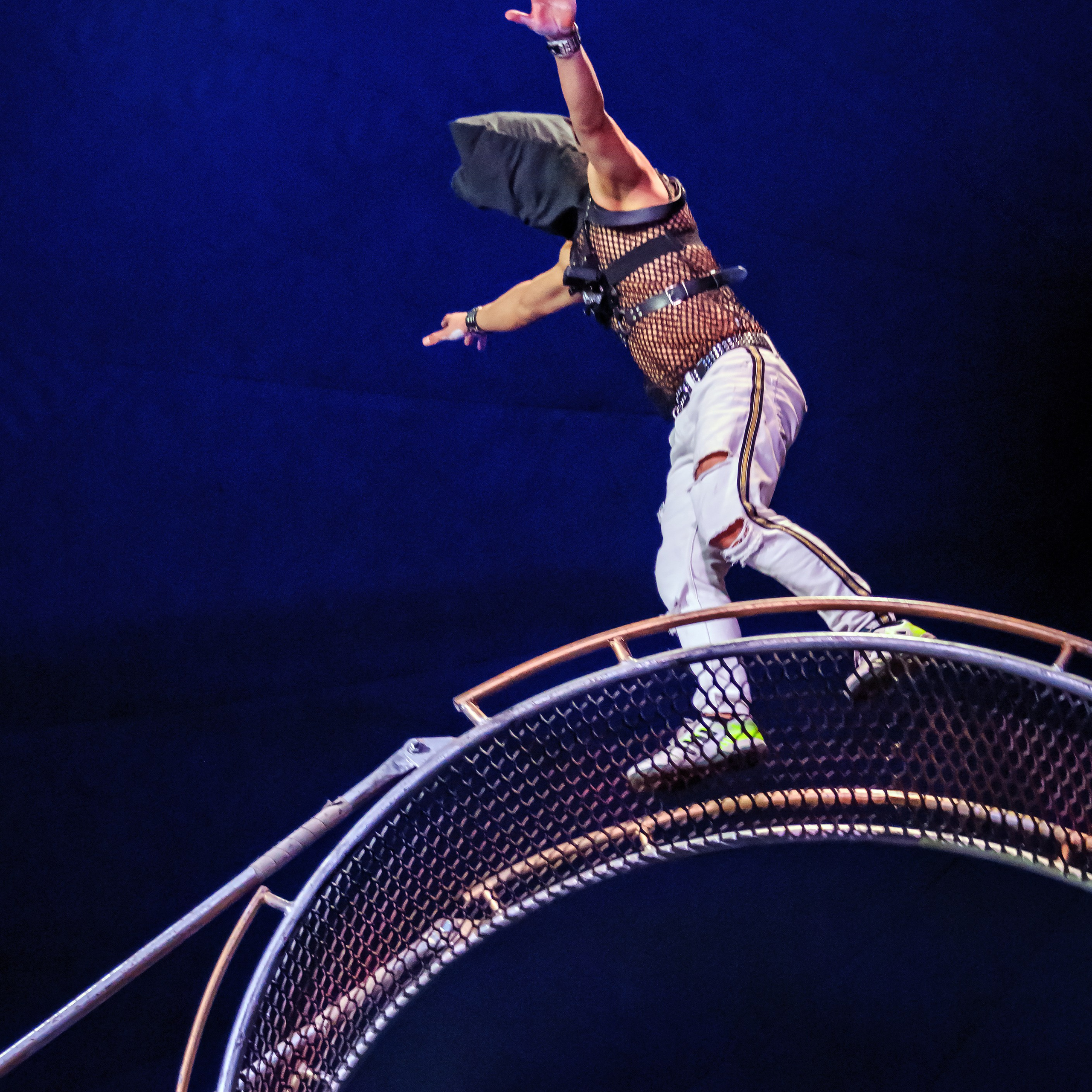 Шоу Демидовых. Цирковой фотограф Андрей Пухов (Jazz)