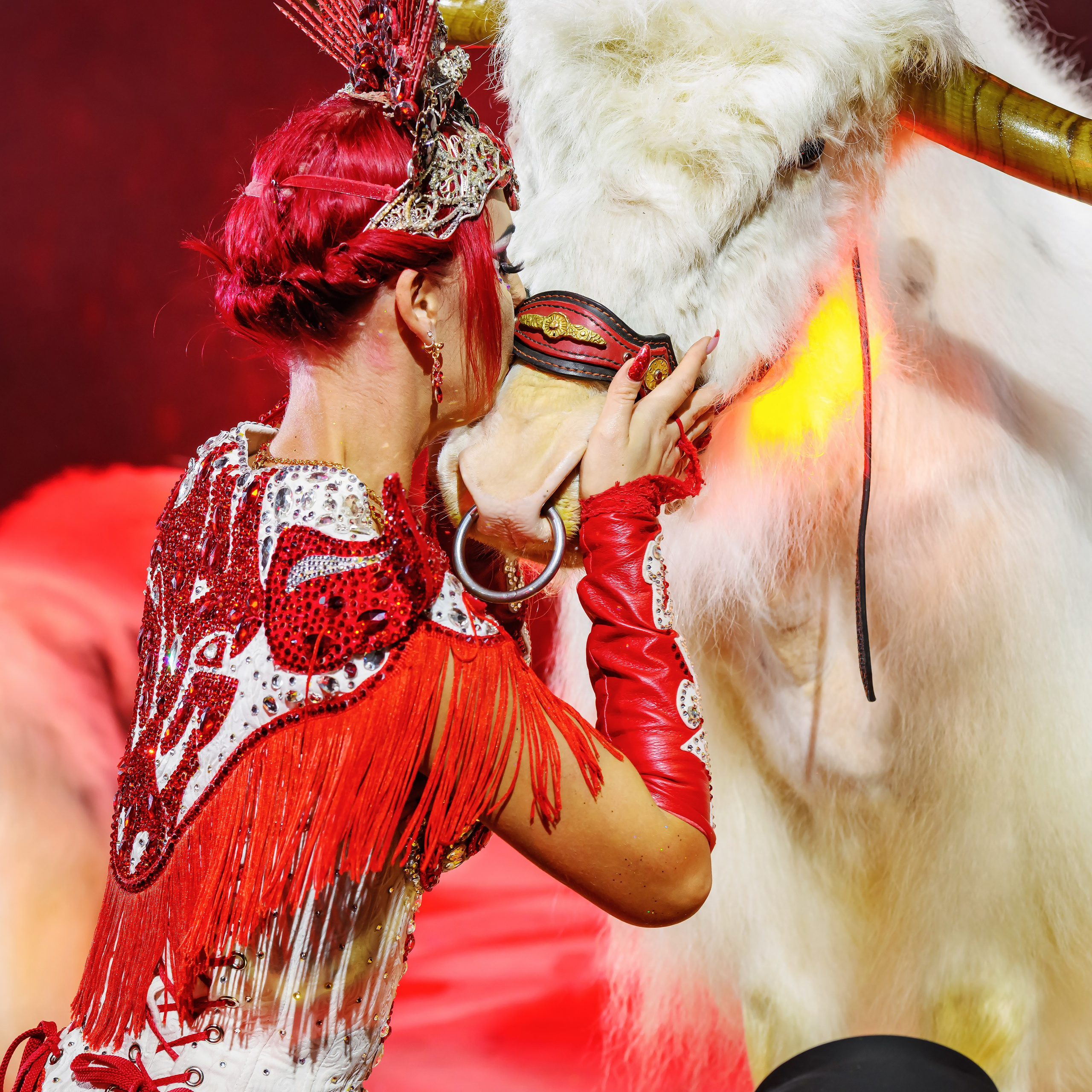 Шоу «Королевский цирк». Фотограф Андрей Пухов (Jazz)