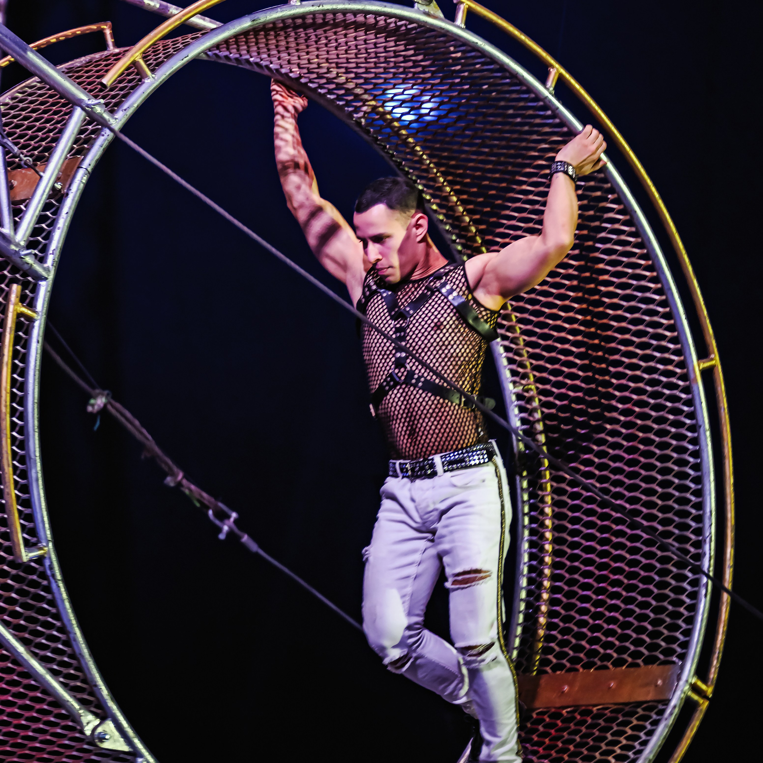 Шоу Демидовых. Цирковой фотограф Андрей Пухов (Jazz)