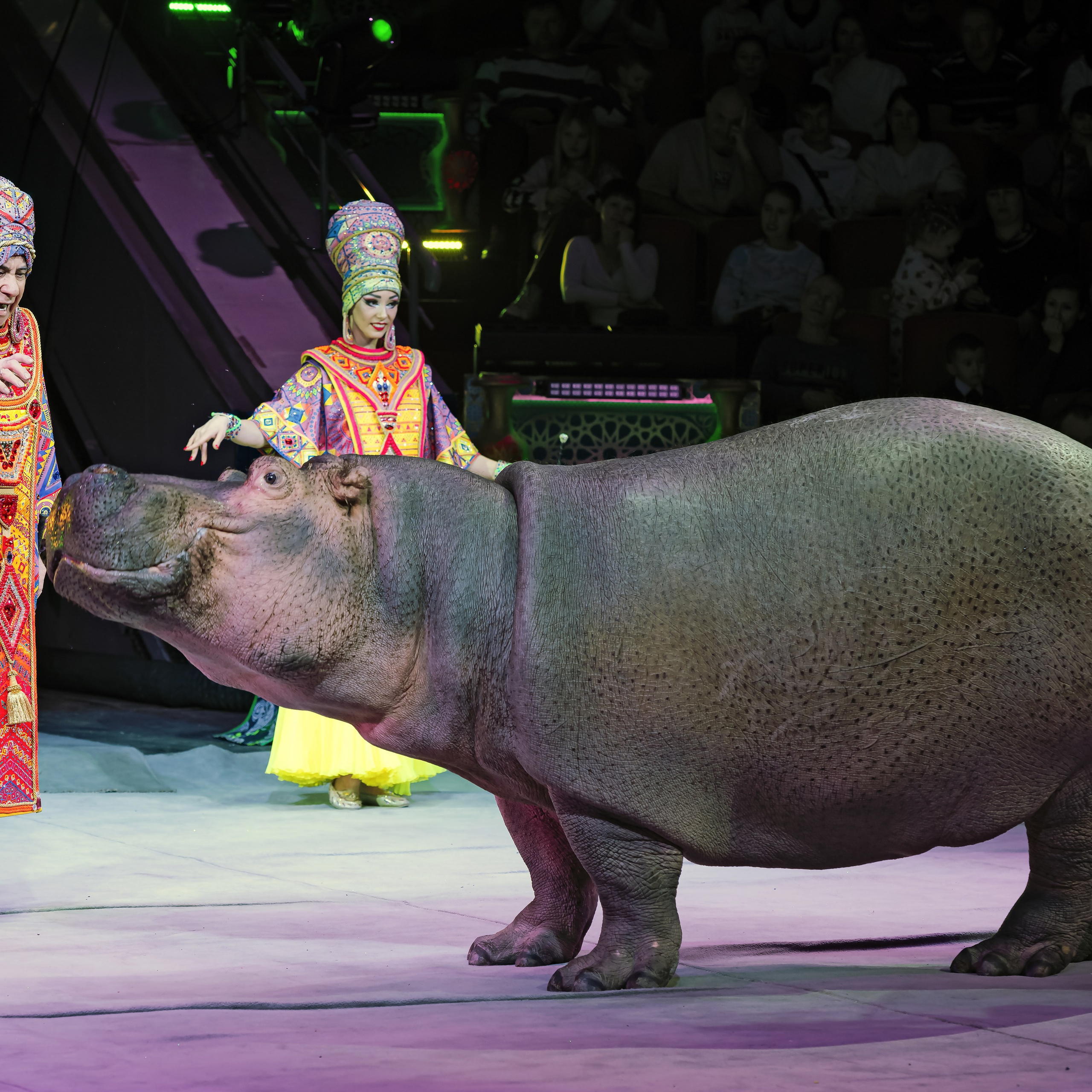 Песчаная сказка — Нижегородский Государственный Цирк (Премьера). Цирковой фотограф Андрей Пухов (Jazz)