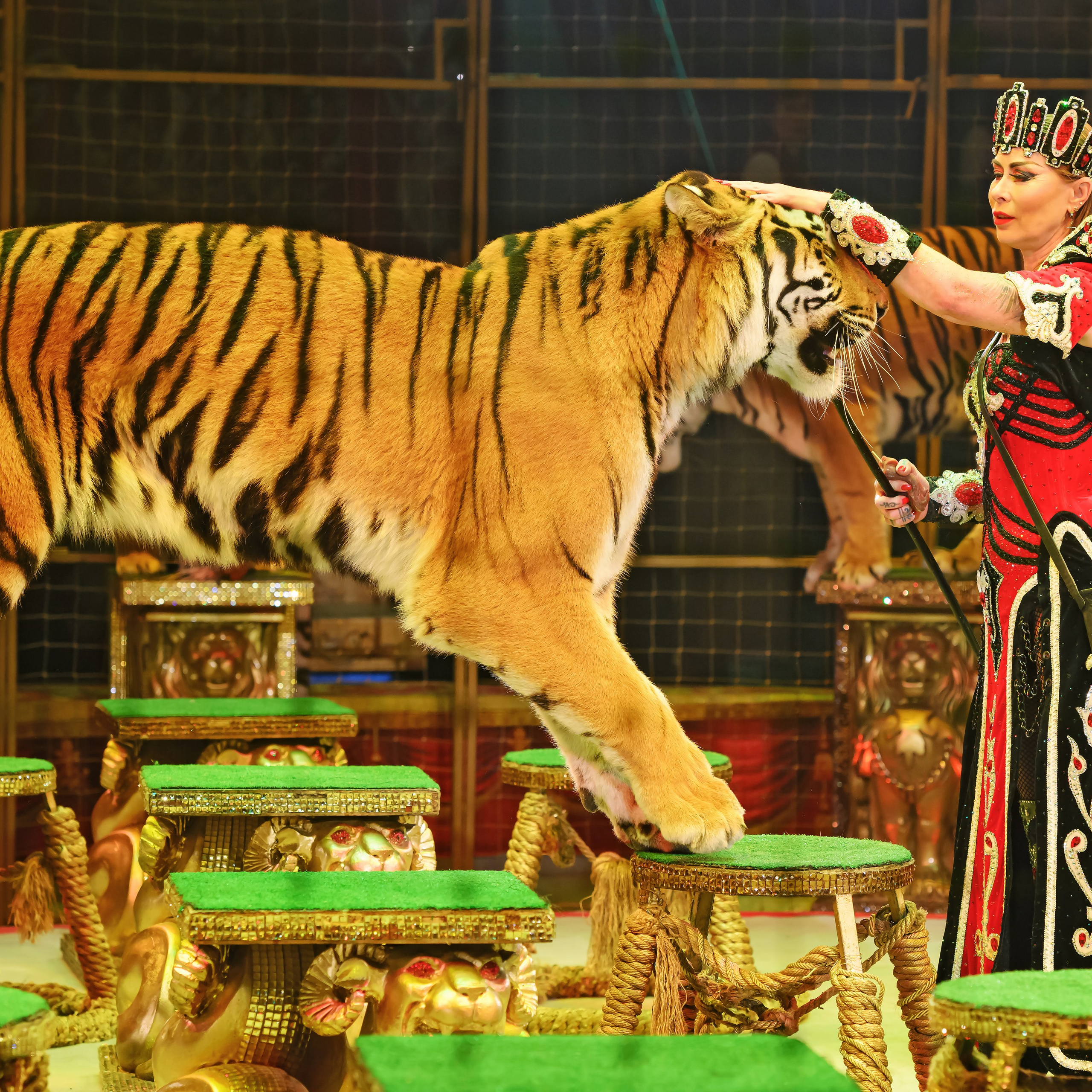 ГРАНДИОЗНОЕ ЦИРКОВОЕ ШОУ ЗАСЛУЖЕННОГО АРТИСТА РОССИИ ГИИ ЭРАДЗЕ. Фотограф Андрей Пухов (Jazz)