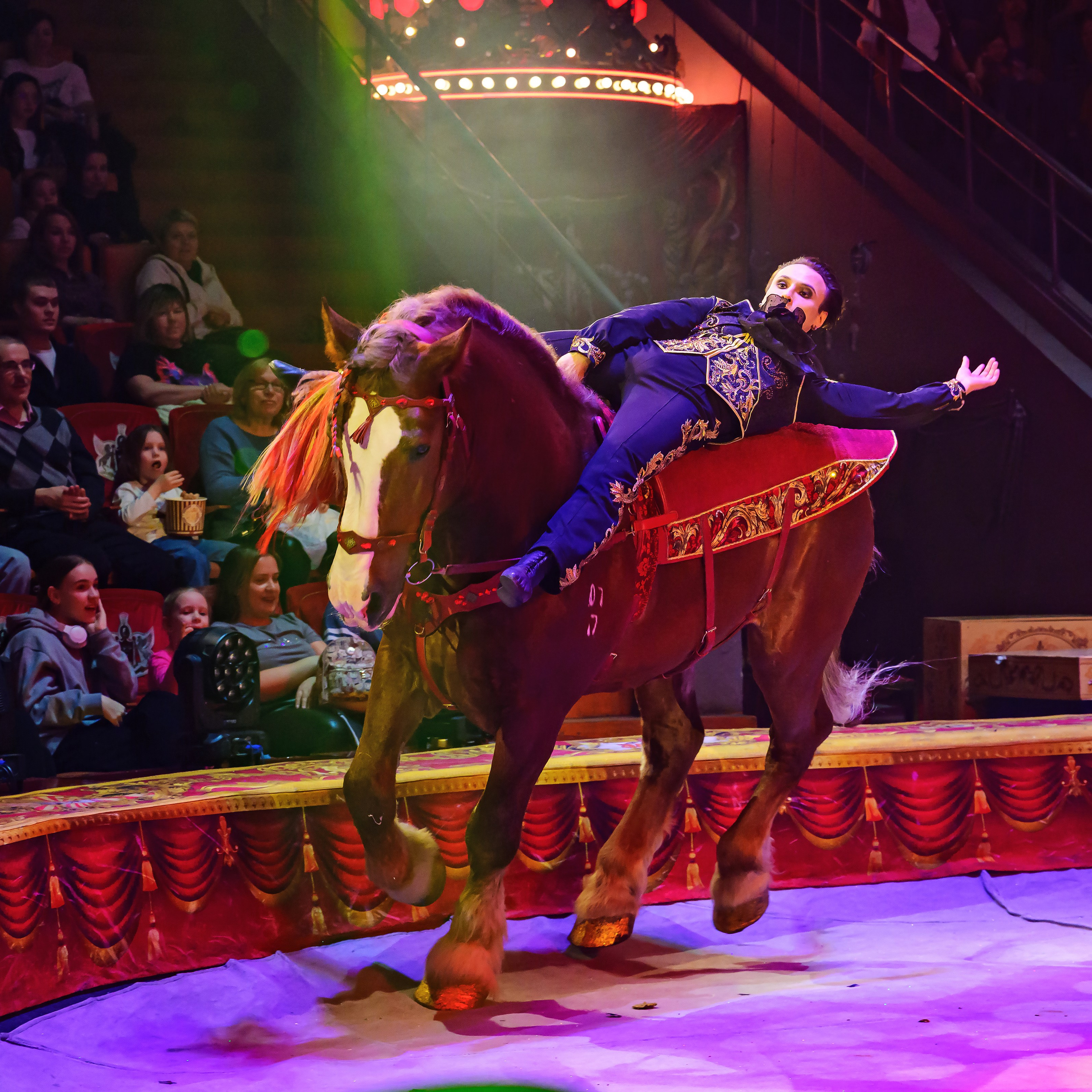 Royal Circus (новые номера). Фотограф Андрей Пухов (Jazz)