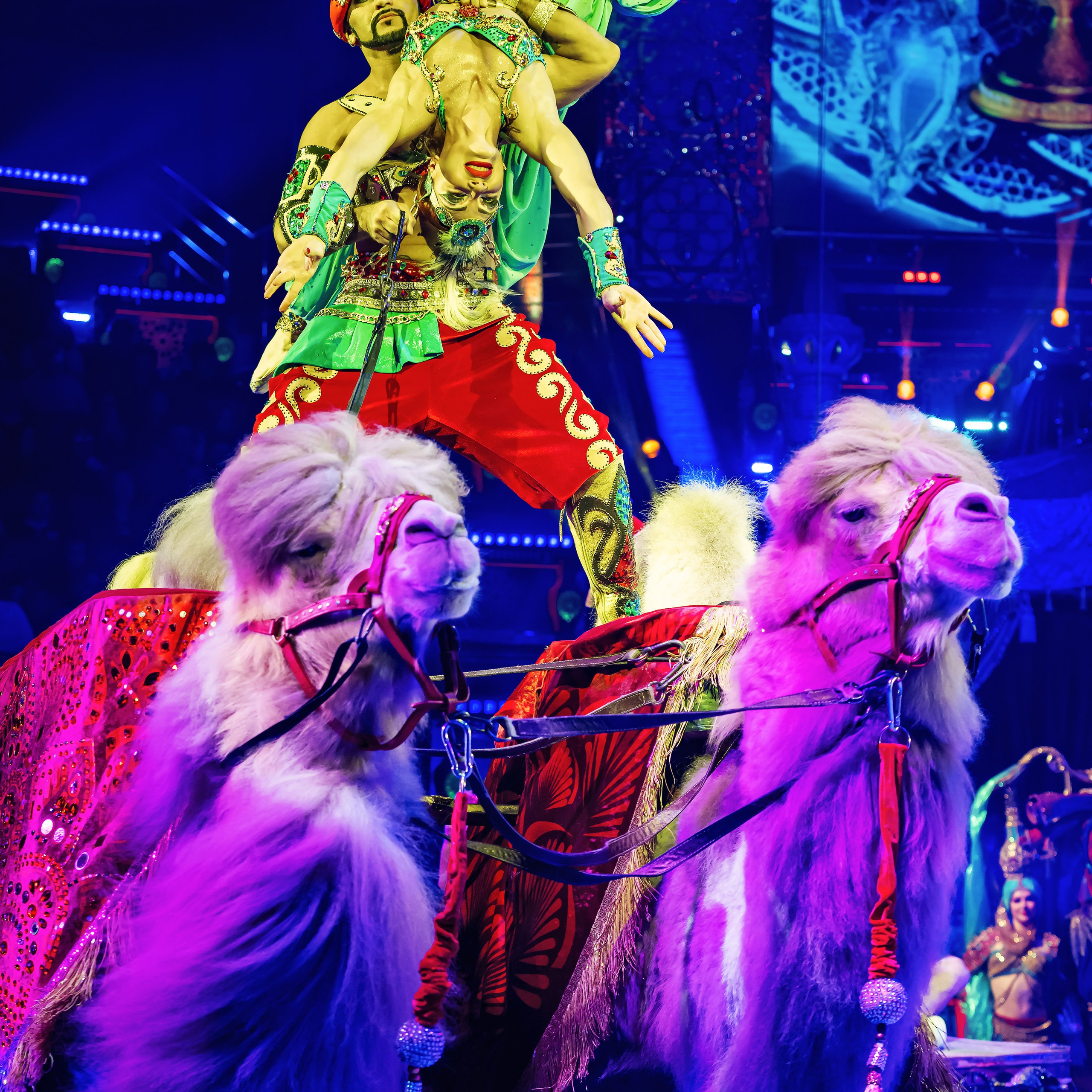 Песчаная сказка — Нижегородский Государственный Цирк (Премьера). Цирковой фотограф Андрей Пухов (Jazz)