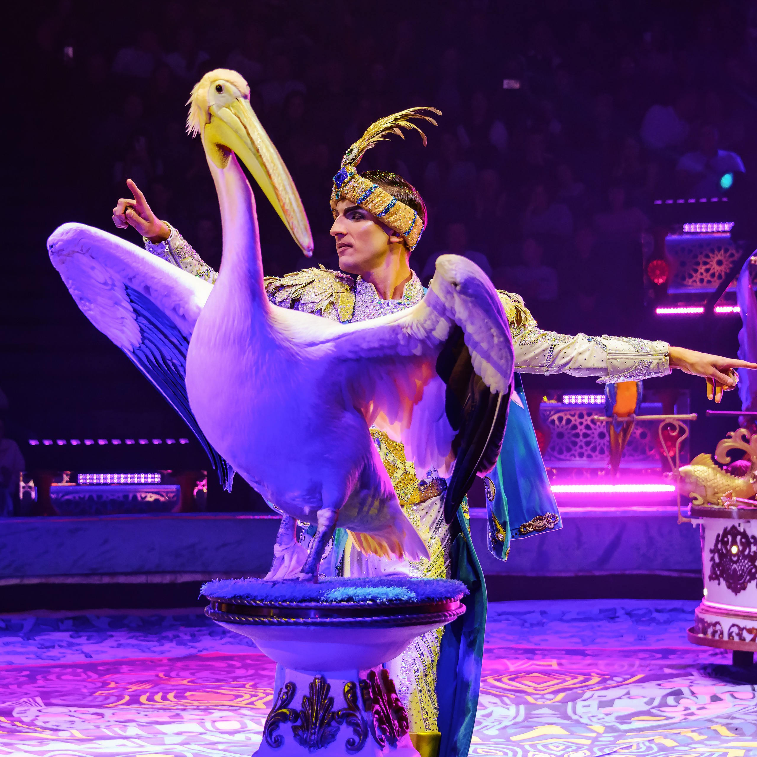 Песчаная сказка Гии Эрадзе — волшебное шоу 🎪, которое должен увидеть каждый, кто ценит красоту🌹, талант 🎭 и умение мечтать 💫. Цирковой фотограф Андрей Пухов (Jazz)