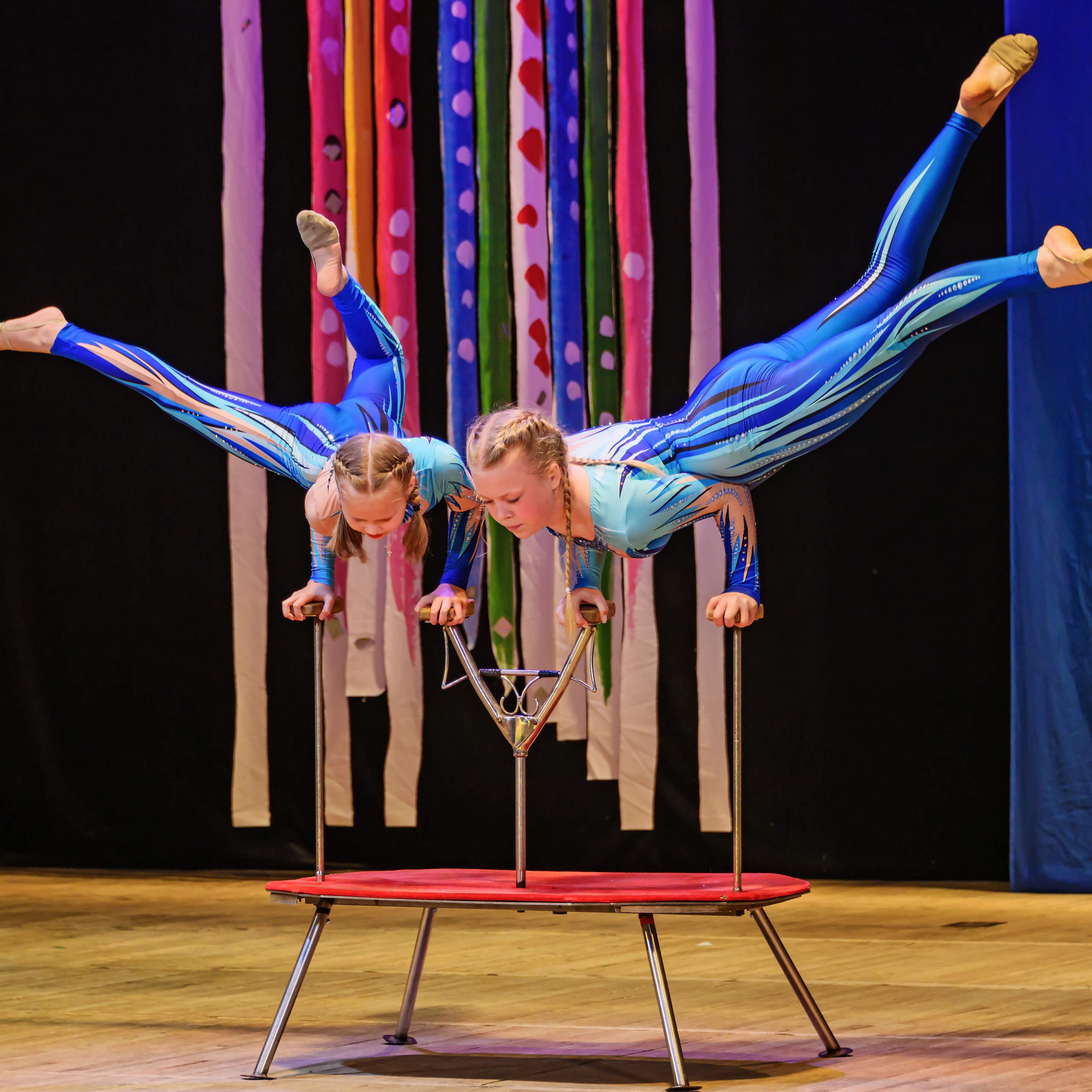 Народный коллектив, цирк «Юность» ДК ГАЗ, г. Нижний Новгород 👏. Фотограф Андрей Пухов (Jazz)