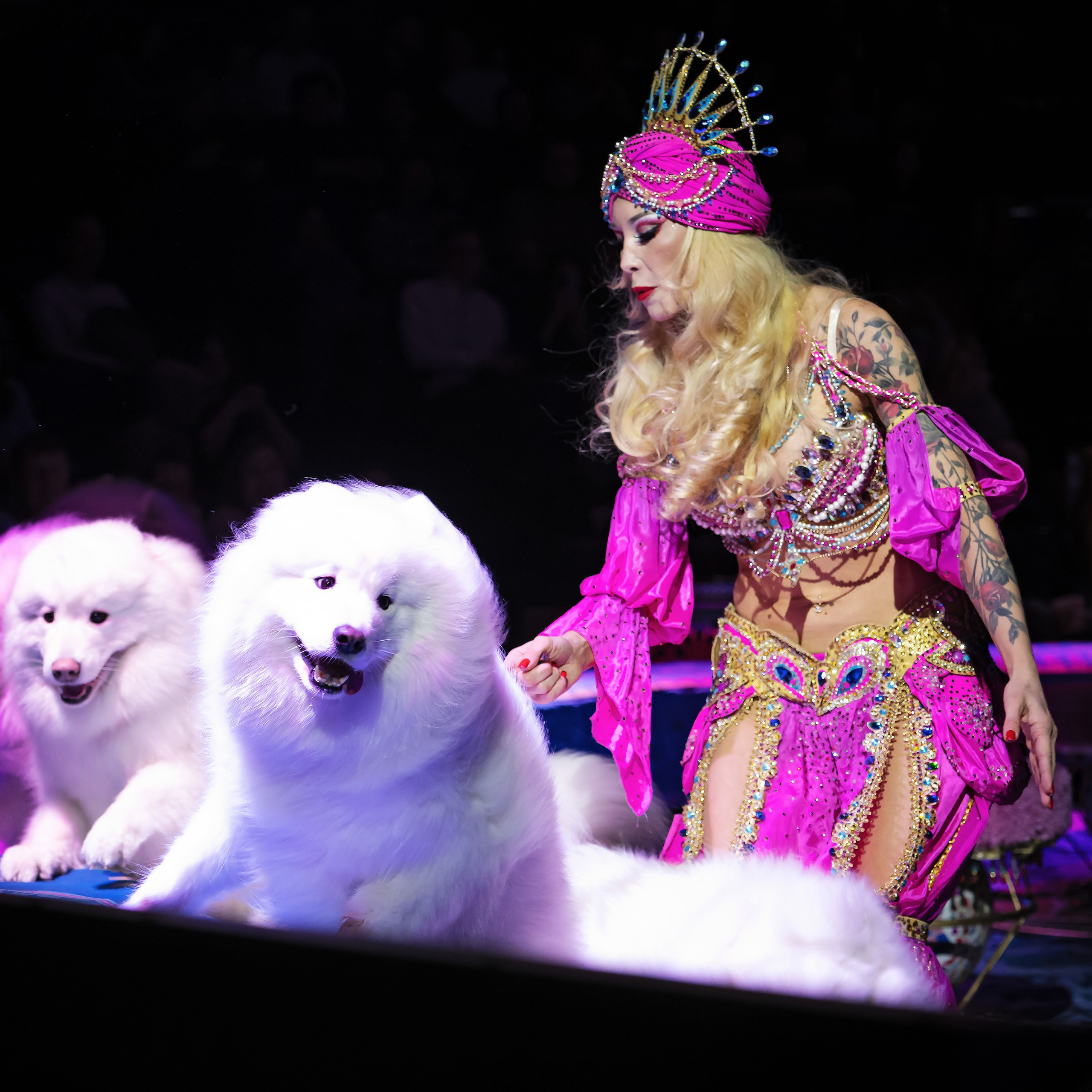 Песчаная сказка — Нижегородский Государственный Цирк (Премьера). Цирковой фотограф Андрей Пухов (Jazz)