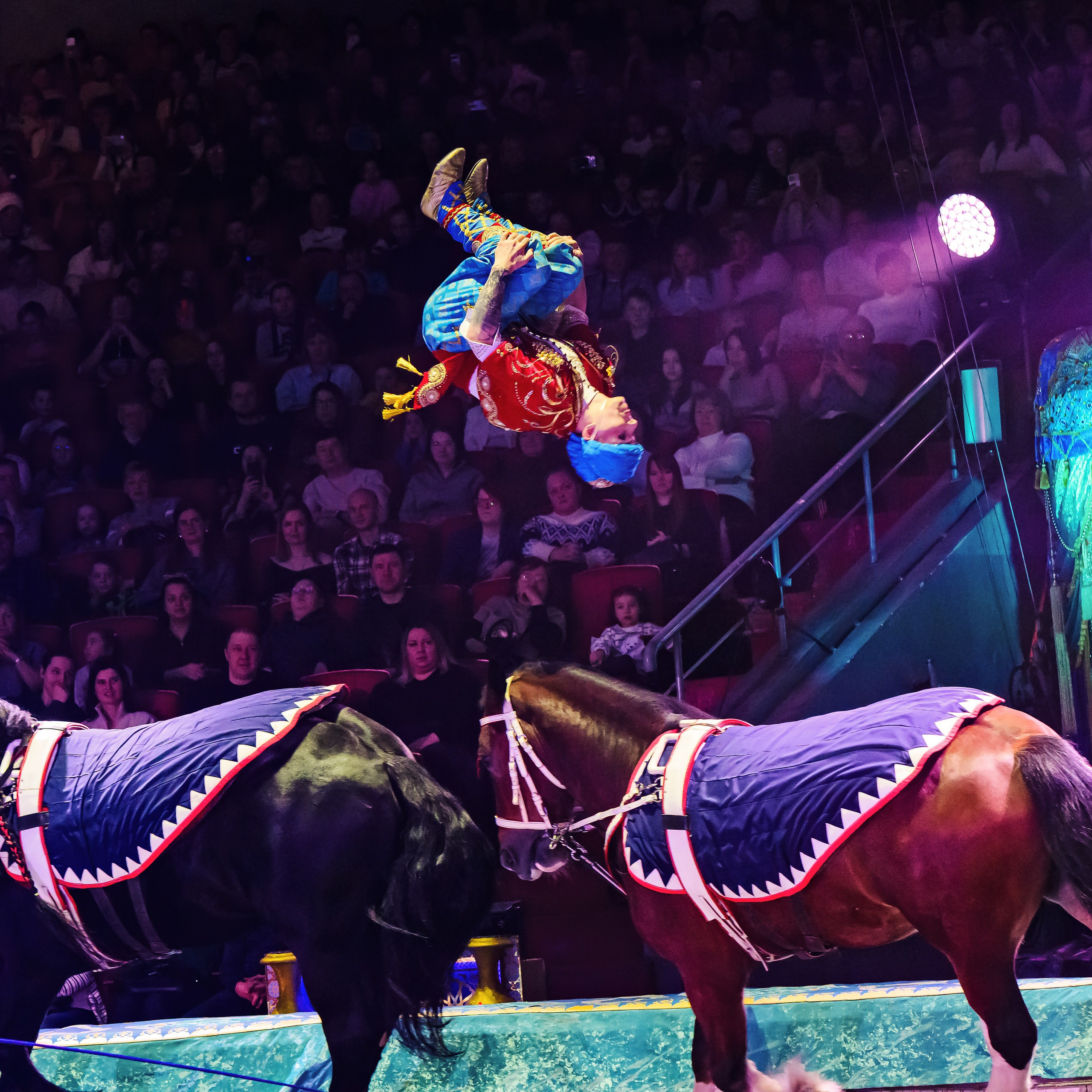 Песчаная сказка — Нижегородский Государственный Цирк (Премьера). Цирковой фотограф Андрей Пухов (Jazz)