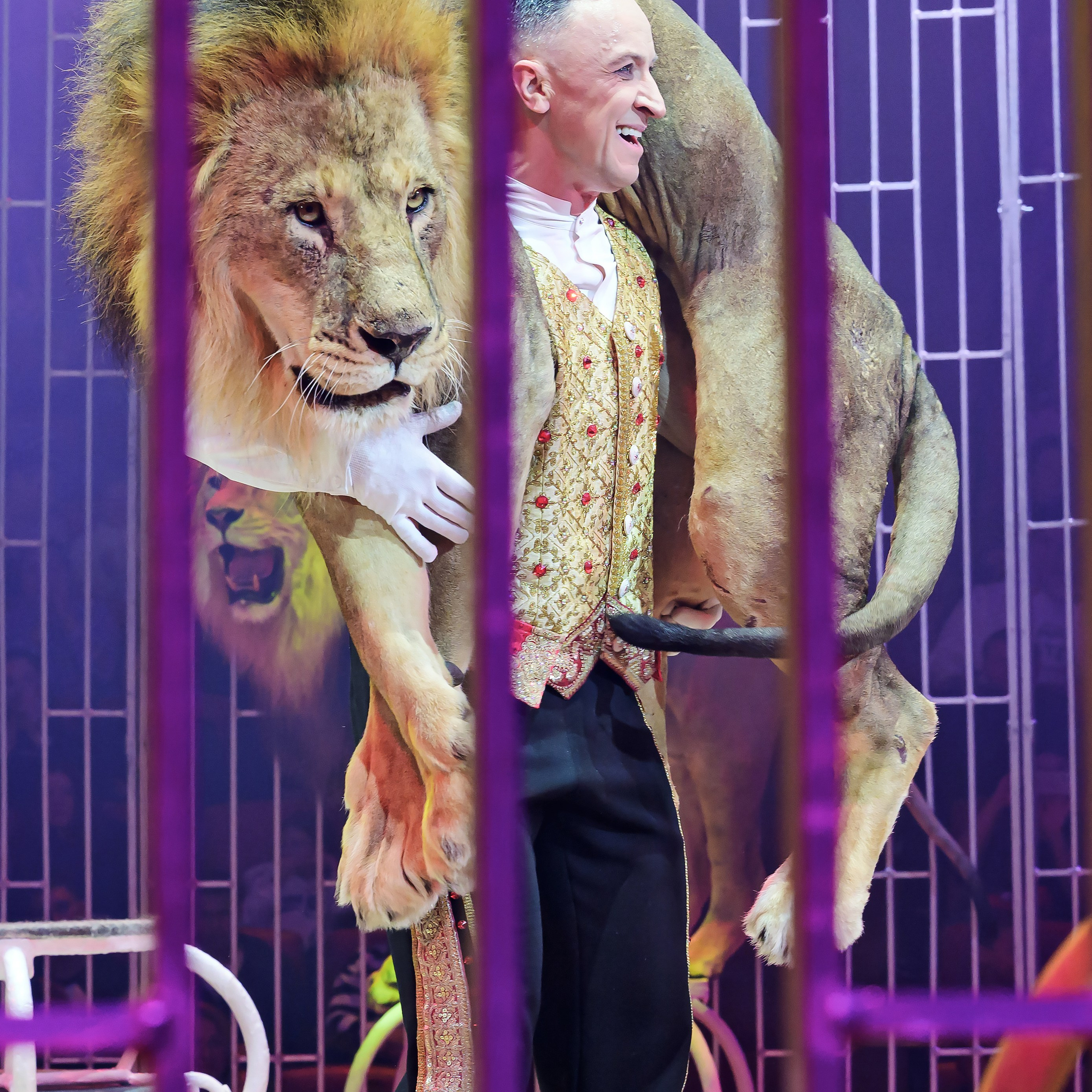 Шоу фонтанов «Принц цирка» 🎪 09.11.2024. Фотограф Андрей Пухов (Jazz)