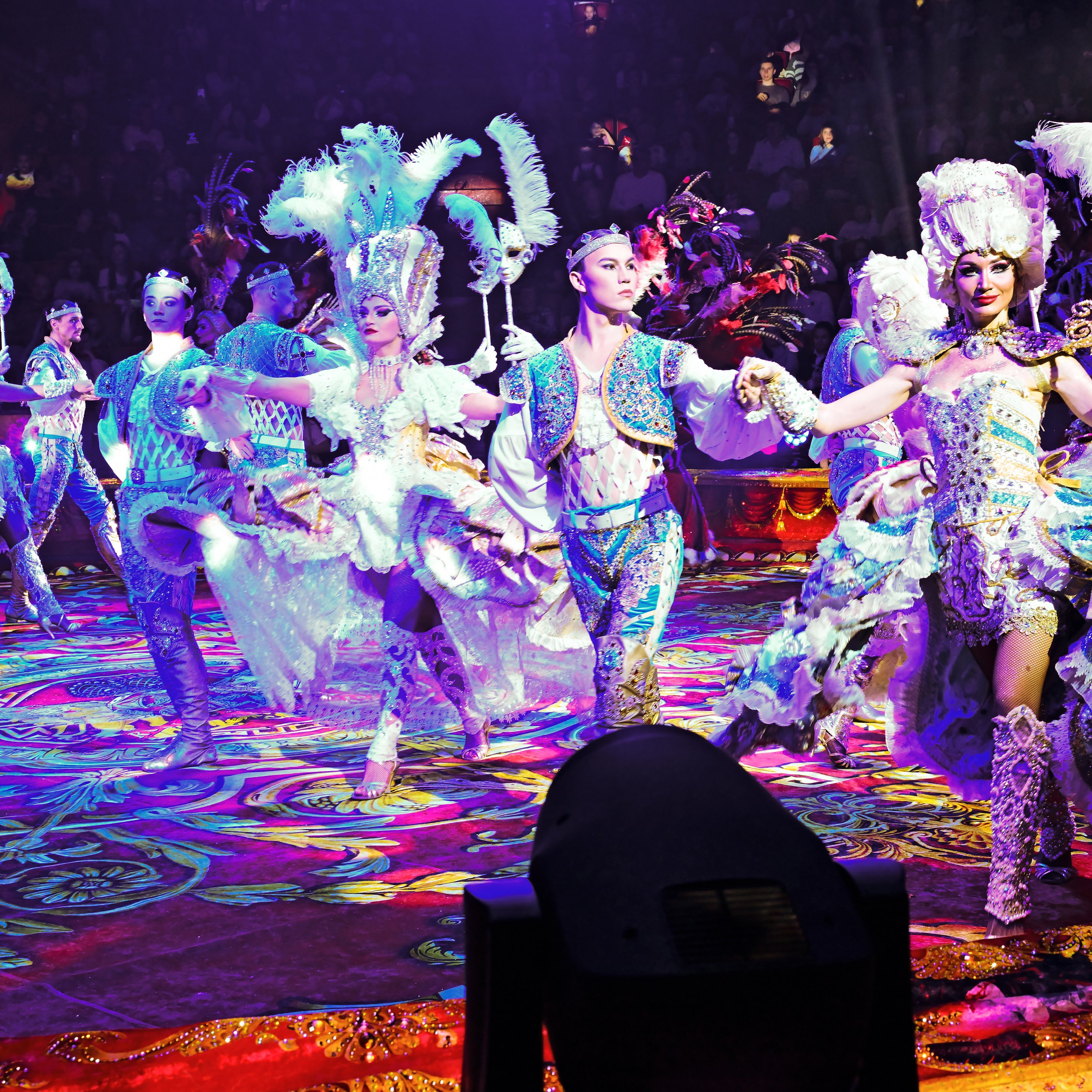 Шоу «Королевский цирк». Фотограф Андрей Пухов (Jazz)