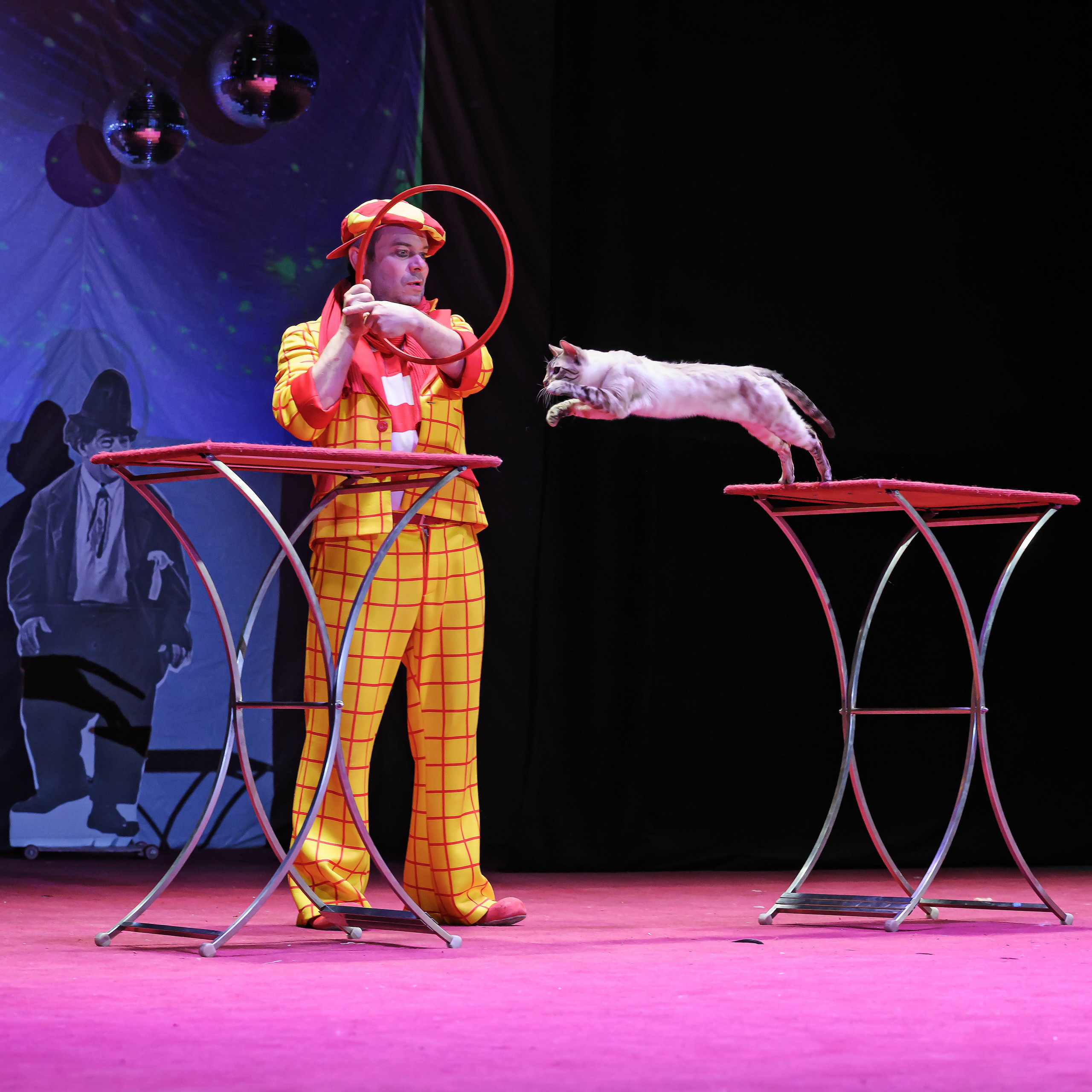 Великий клоун, Народный артист России, Юрий Куклачёв со звёздами эстрады и цирка, уникальный бенефис!. Фотограф Андрей Пухов (Jazz)