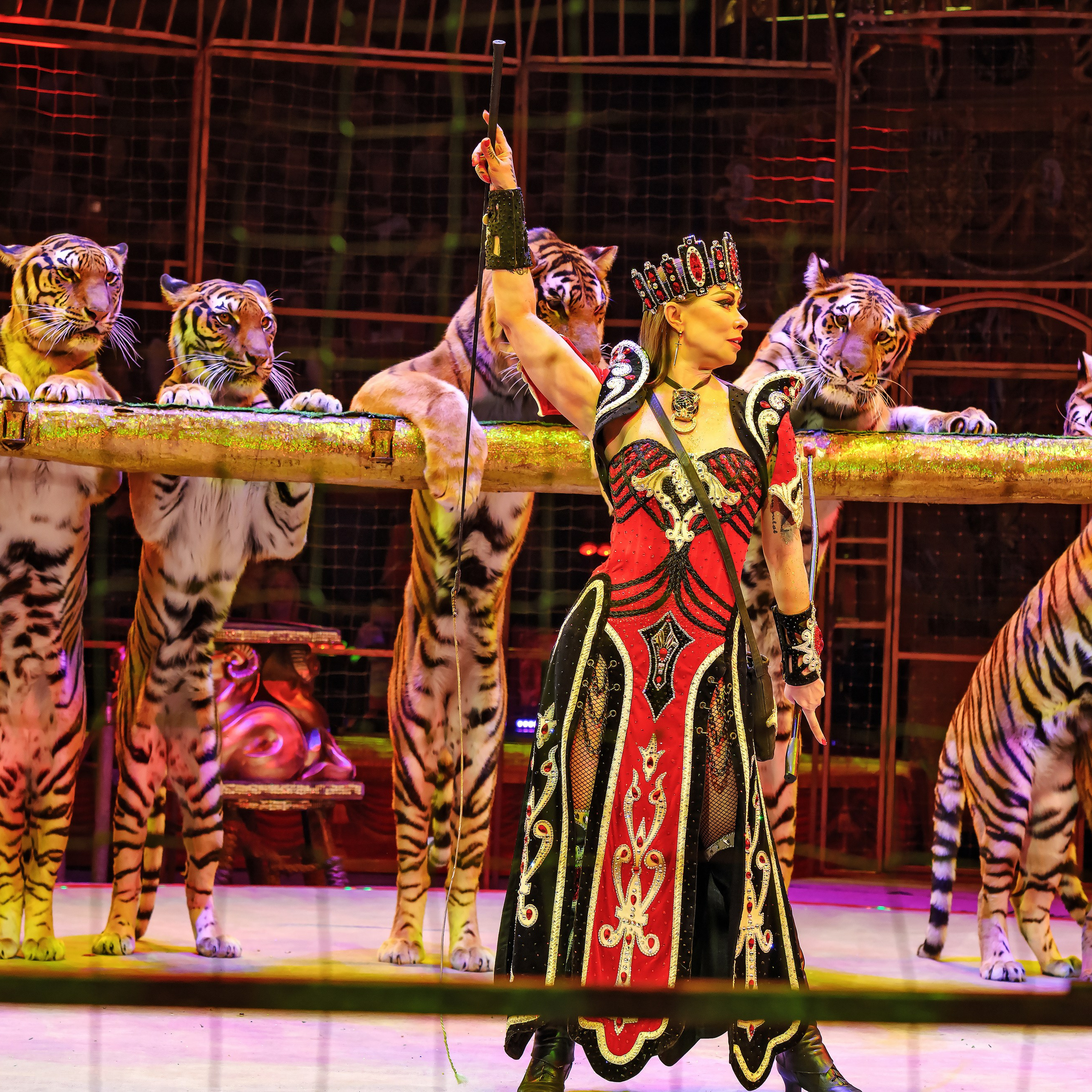 Шоу «Королевский цирк». Фотограф Андрей Пухов (Jazz)
