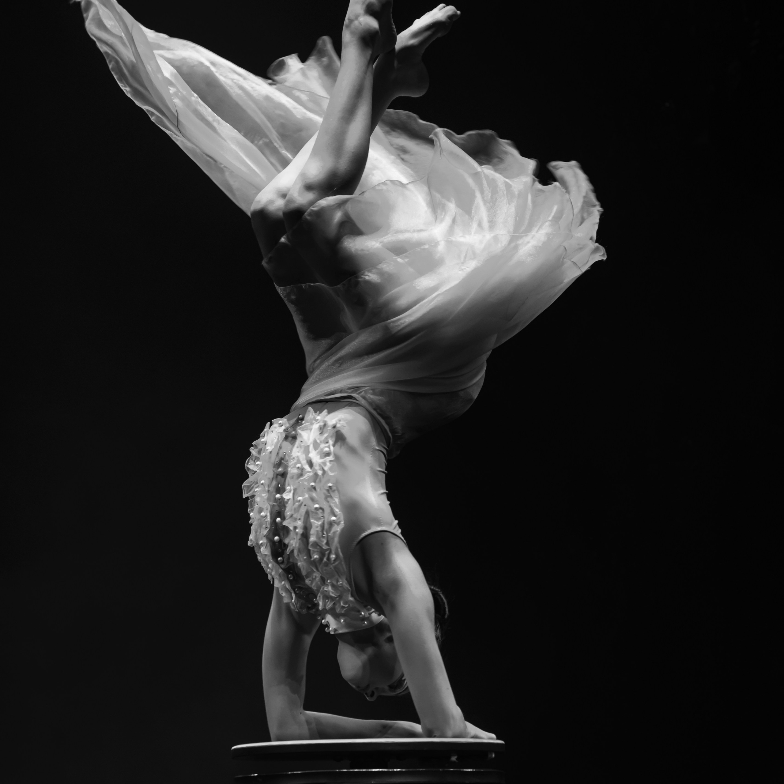 Шоу «Королевский цирк». Фотограф Андрей Пухов (Jazz)