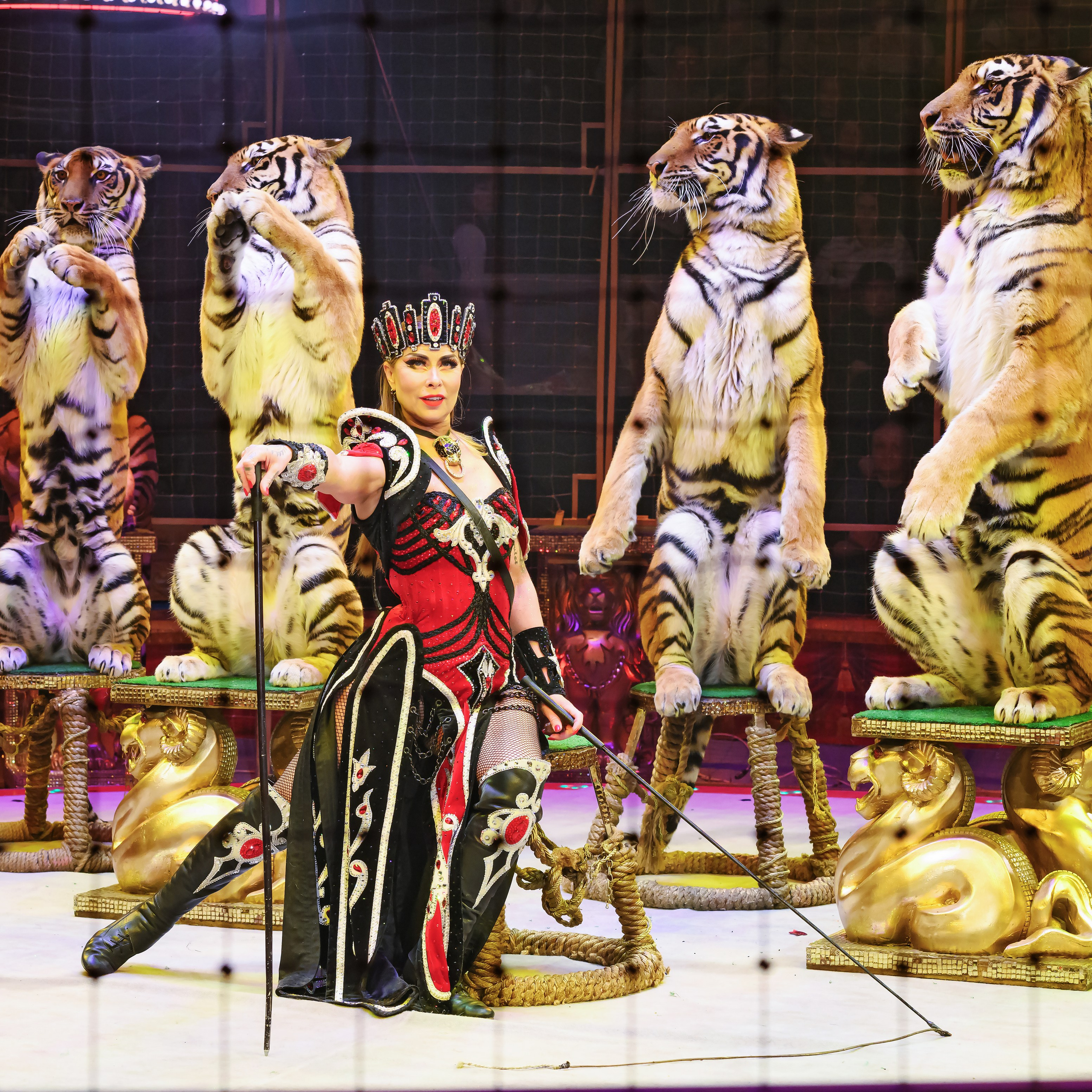 ГРАНДИОЗНОЕ ЦИРКОВОЕ ШОУ ЗАСЛУЖЕННОГО АРТИСТА РОССИИ ГИИ ЭРАДЗЕ. Фотограф Андрей Пухов (Jazz)