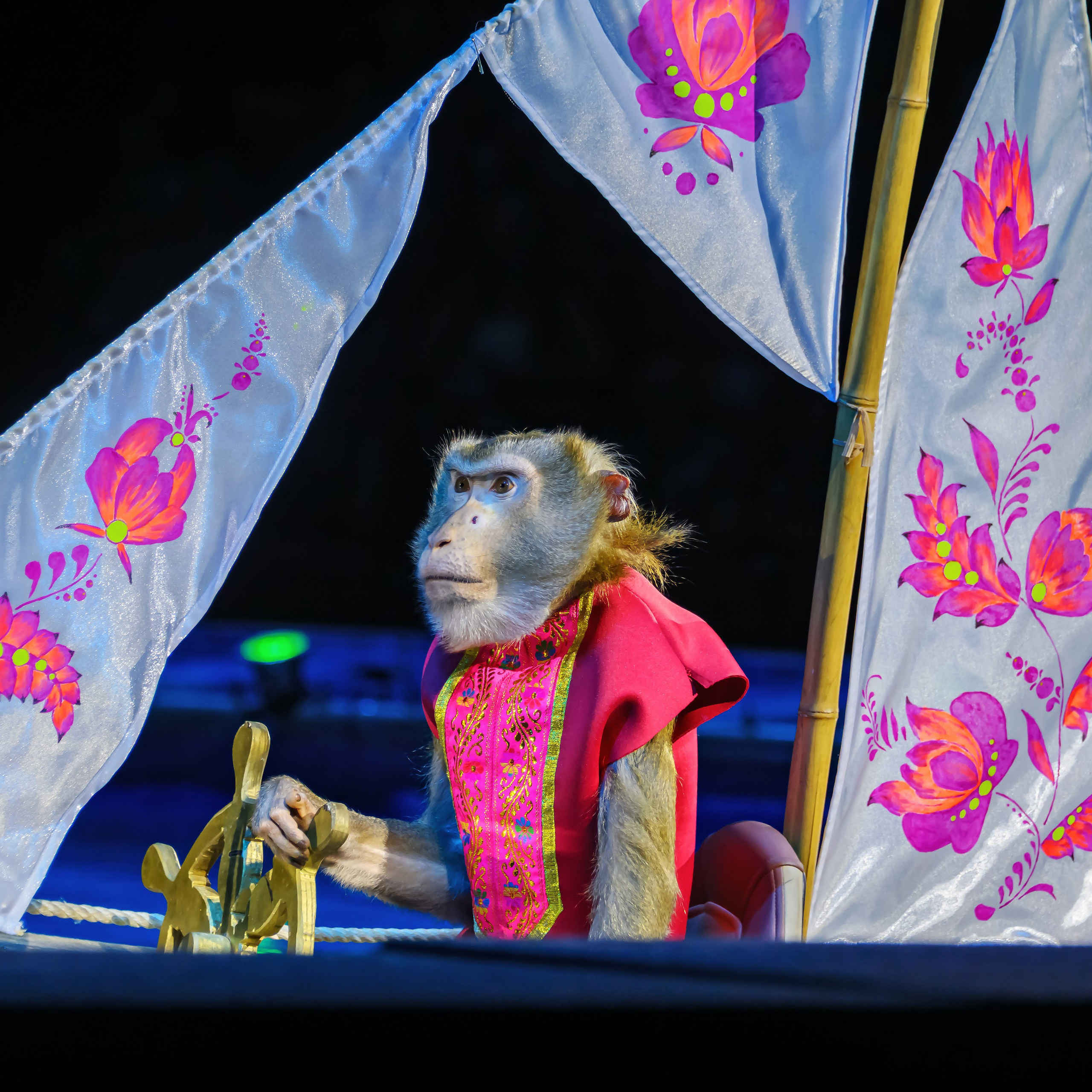 🎪 «Цирк на воде💦 🏰Царство фонтанов**»✨🌊🎭. Фотограф Андрей Пухов (Jazz)