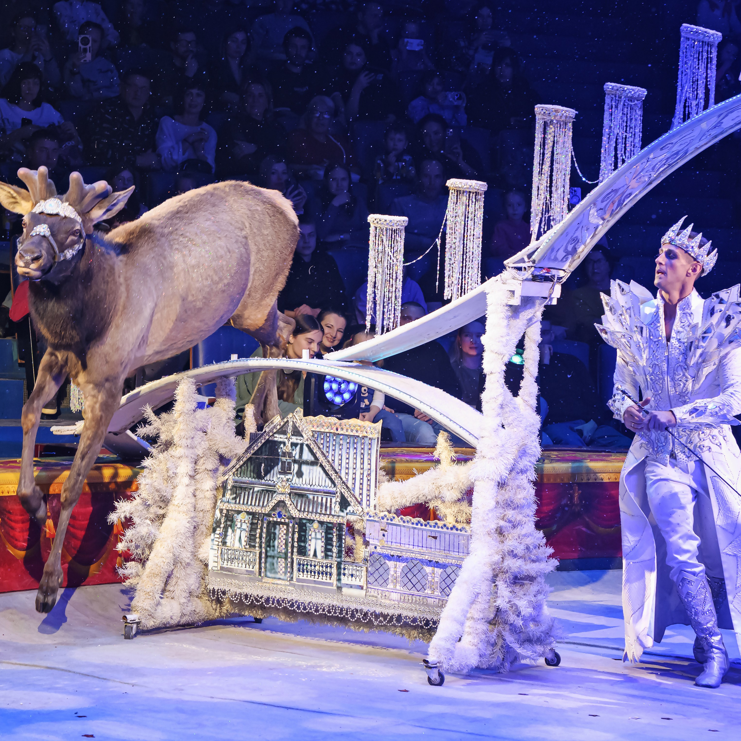 ГРАНДИОЗНОЕ ЦИРКОВОЕ ШОУ ЗАСЛУЖЕННОГО АРТИСТА РОССИИ ГИИ ЭРАДЗЕ. Фотограф Андрей Пухов (Jazz)