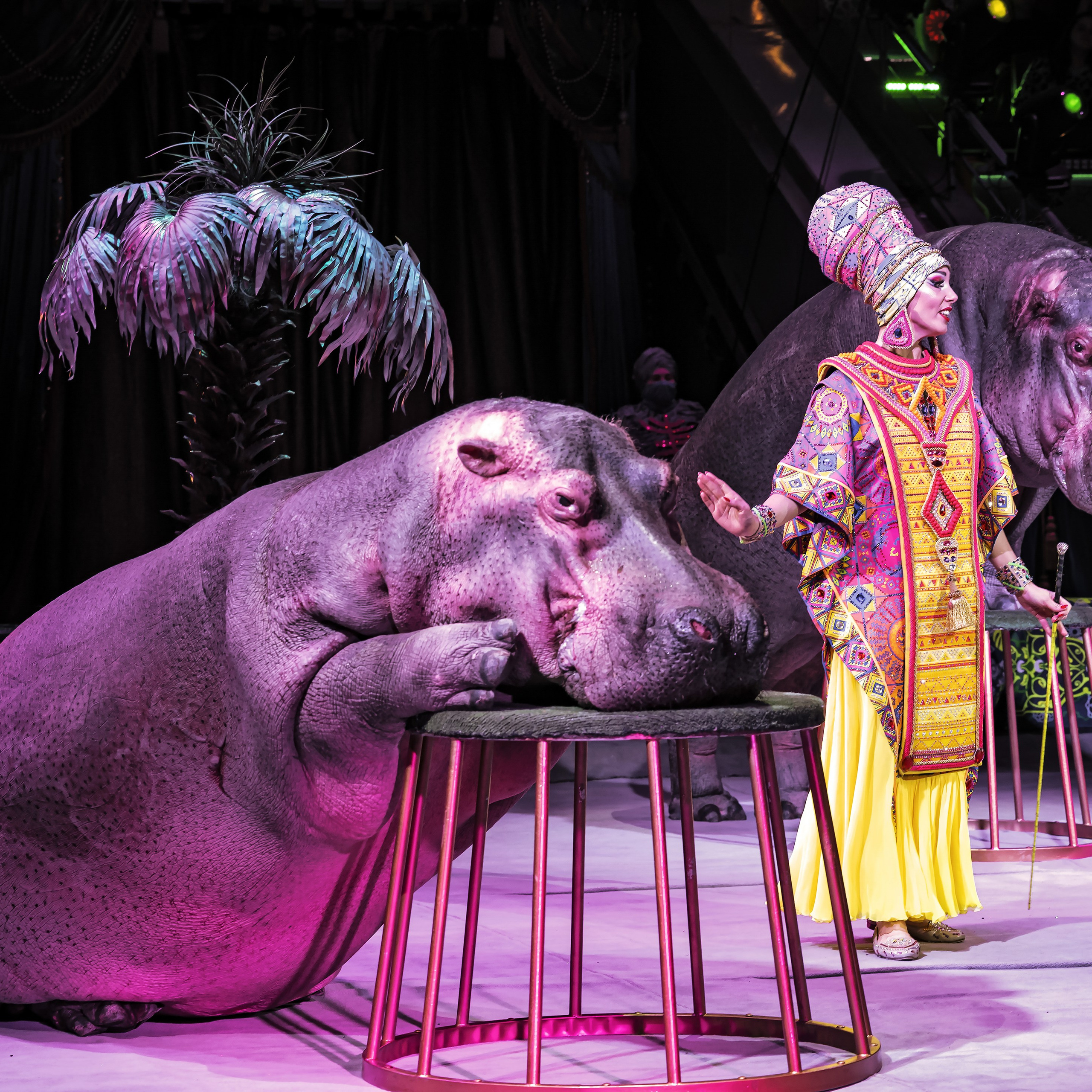 Песчаная сказка — Нижегородский Государственный Цирк (Премьера). Цирковой фотограф Андрей Пухов (Jazz)