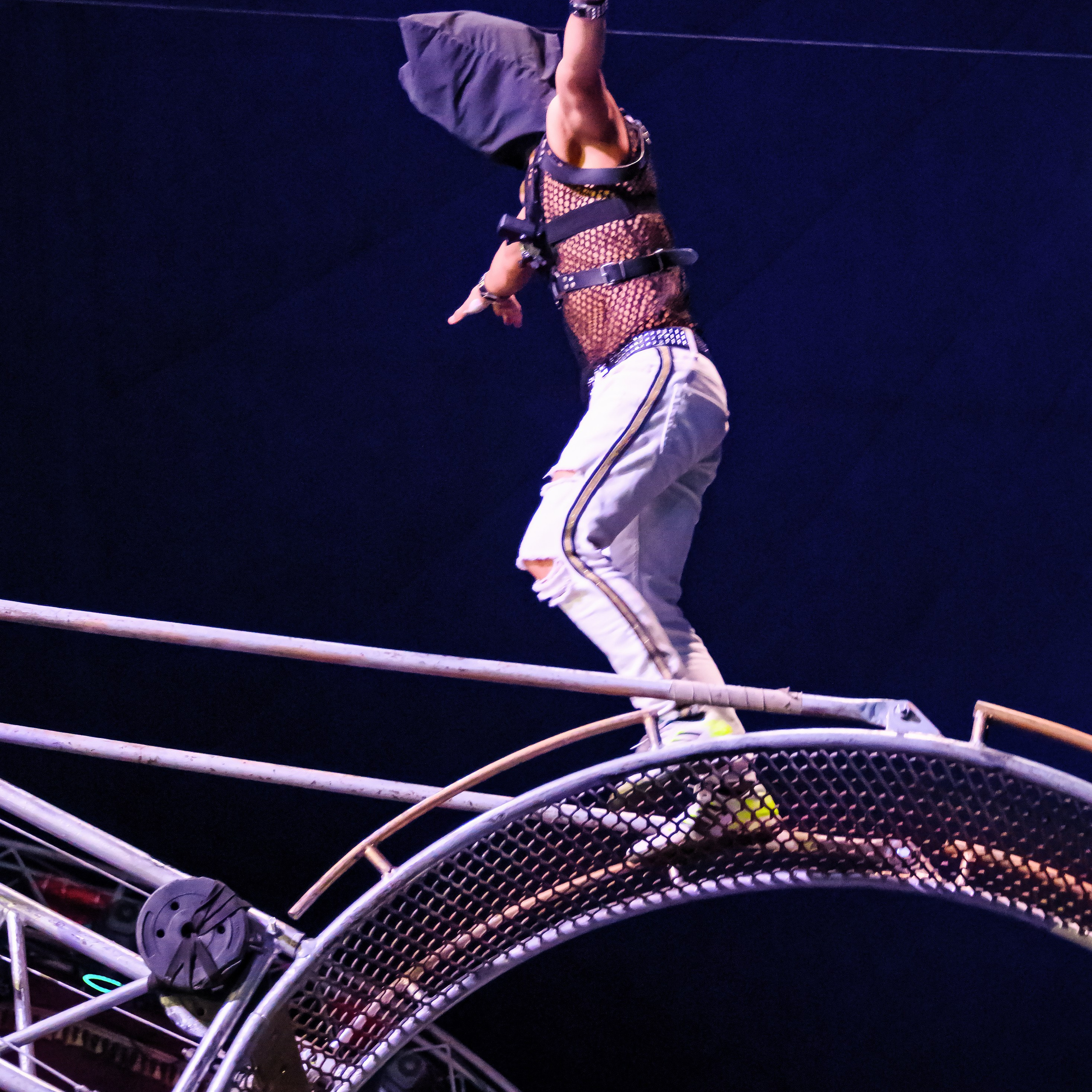 Шоу Демидовых. Цирковой фотограф Андрей Пухов (Jazz)