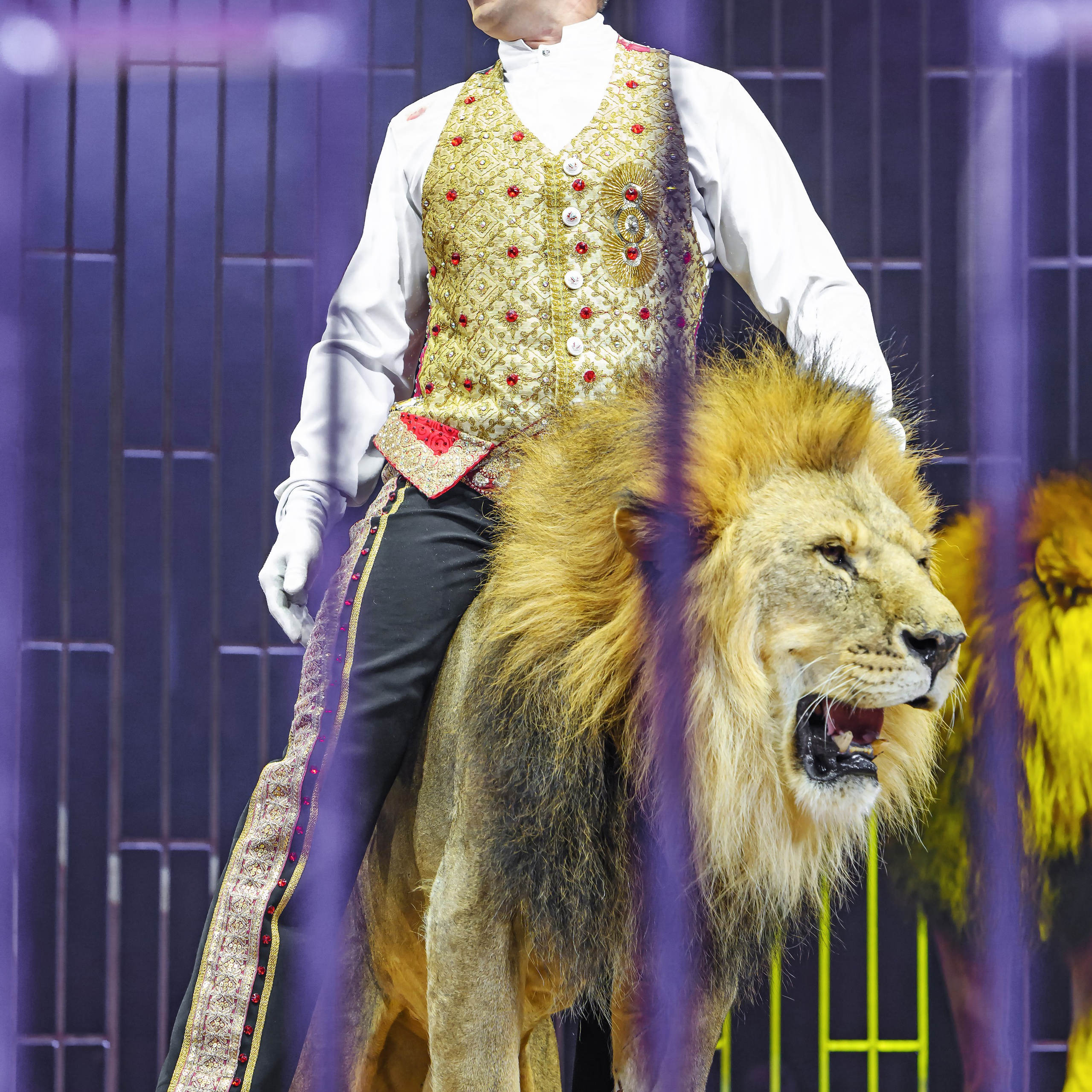 Принц Цирка (Продюсерский центр Влада Гончарова)🎪🦁. Фотограф Андрей Пухов (Jazz)