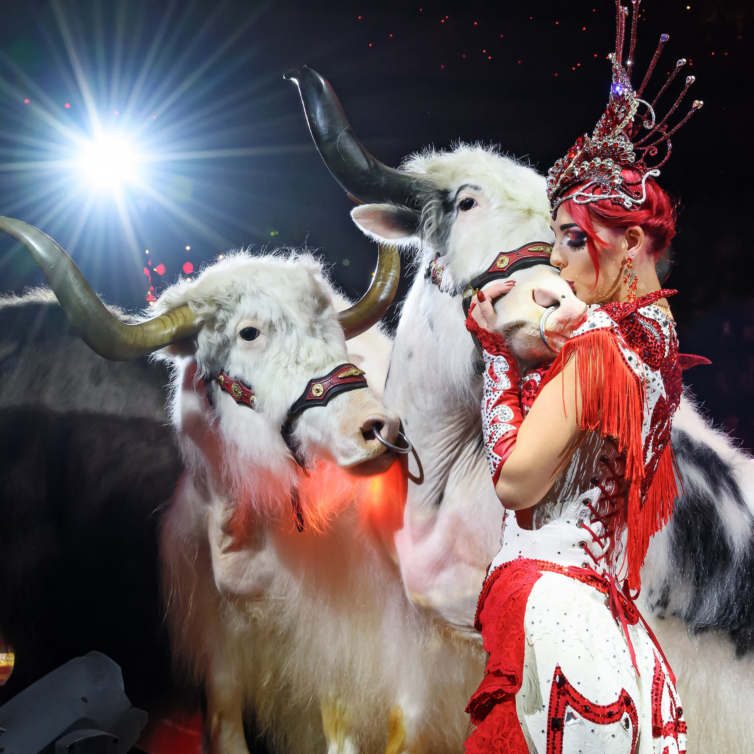 Вечное искусство удивлять: Королевский цирк Гии Эрадзе 👑 Роскошь здесь в каждой детали 💫✨⭐. Фотограф Андрей Пухов (Jazz)