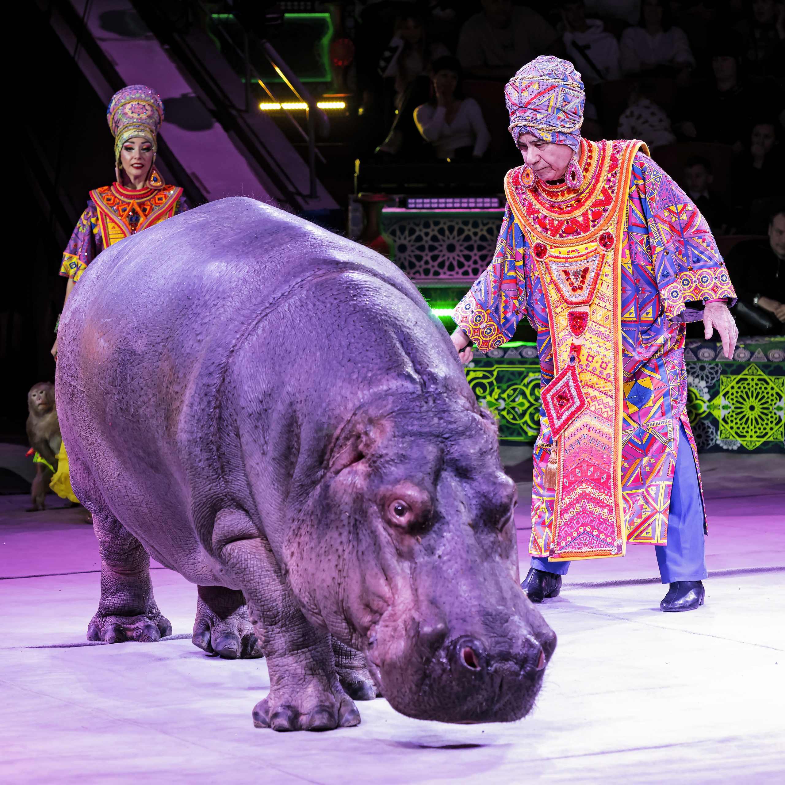 Песчаная сказка — Нижегородский Государственный Цирк (Премьера). Цирковой фотограф Андрей Пухов (Jazz)
