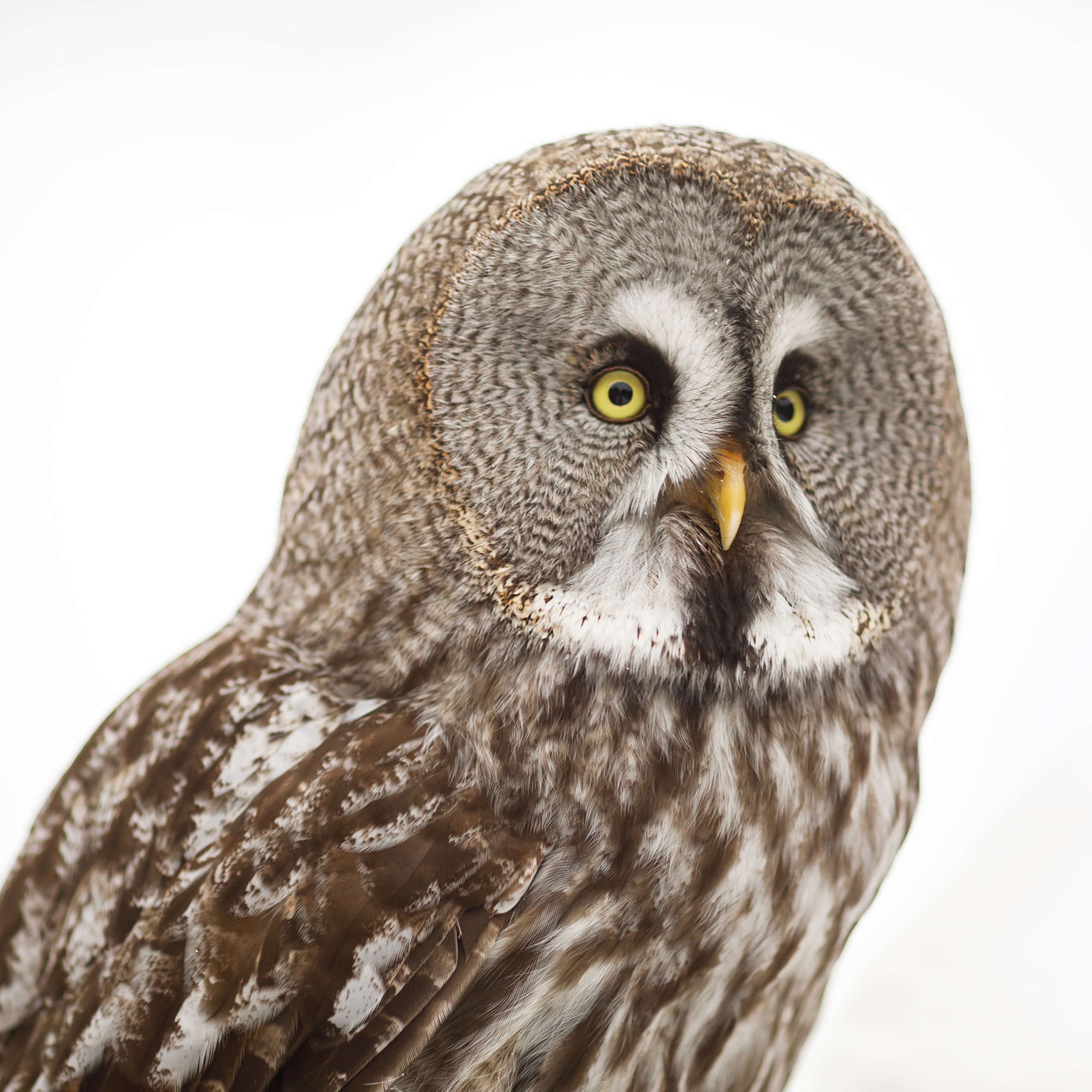 Отзывы. Не просто красивые фотографии, а ваши лучшие кадры!