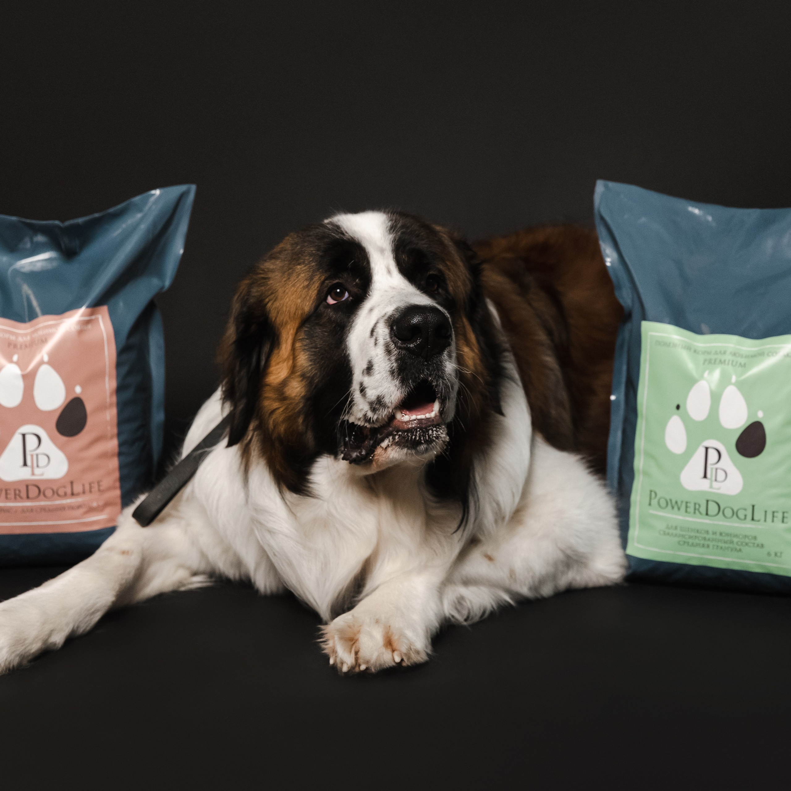 Отзывы. Фотограф в Санкт-Петербурге