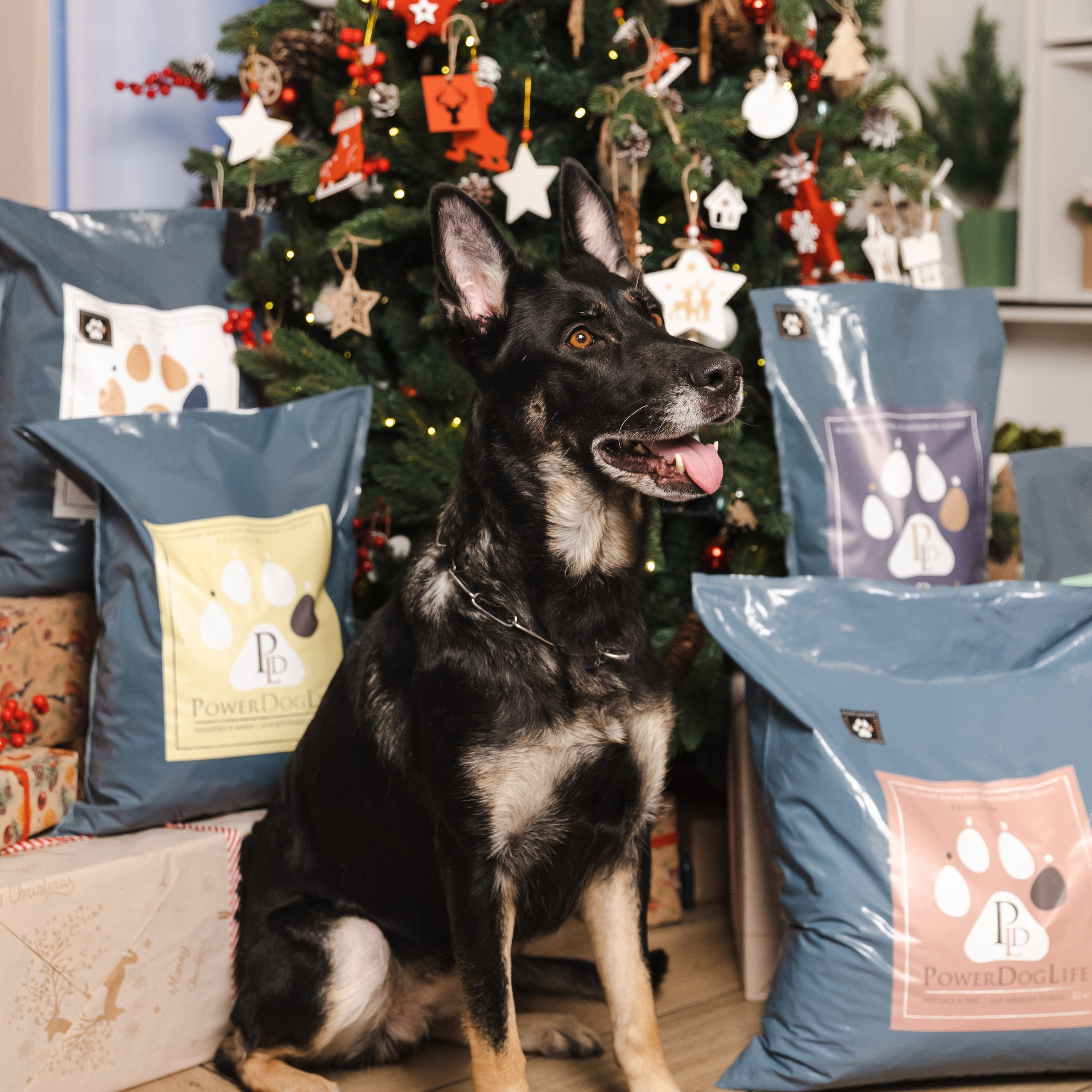 Отзывы. Фотограф в Санкт-Петербурге