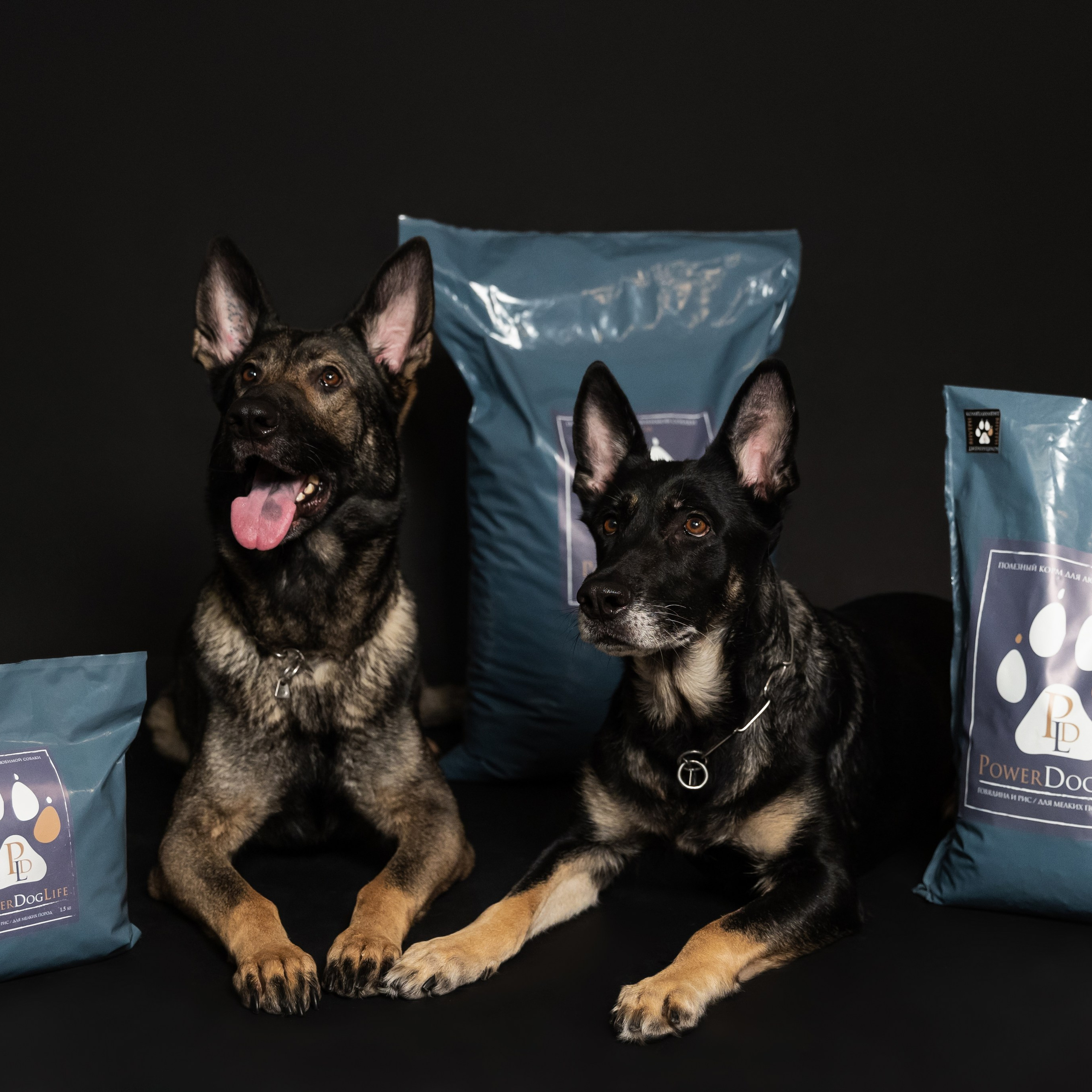 Power Dog Life корм для собак