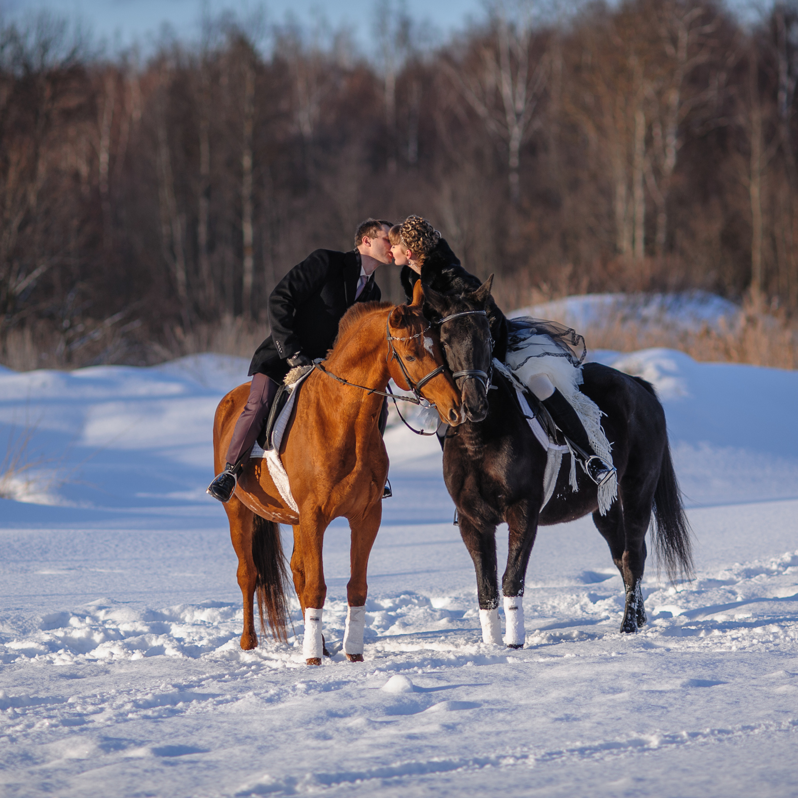 Невеста целует жениха сидя в седле лошади морозных днем в подмосковном Клину