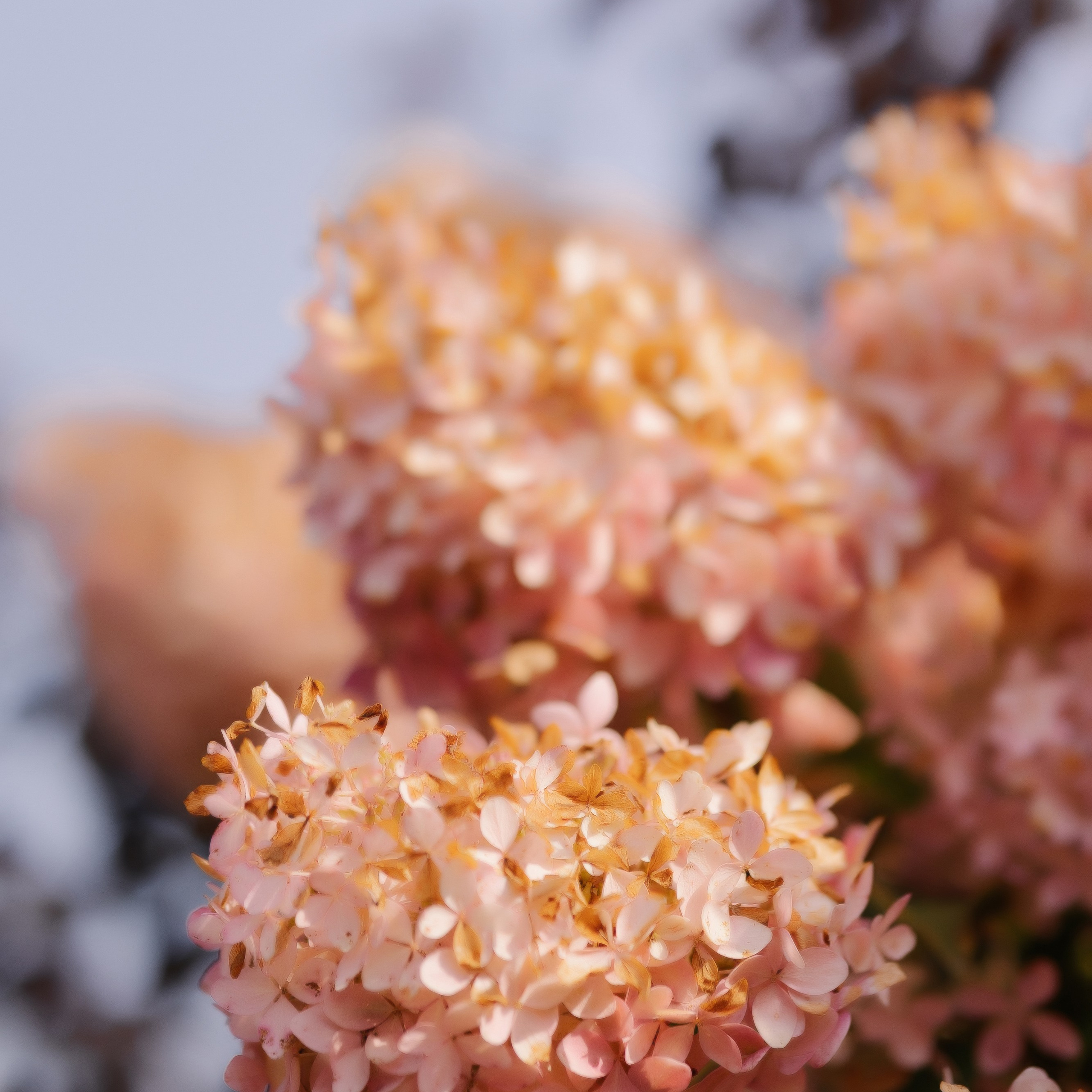 Отзывы. Семейный и детский фотограф в Челябинске Елена Карелина