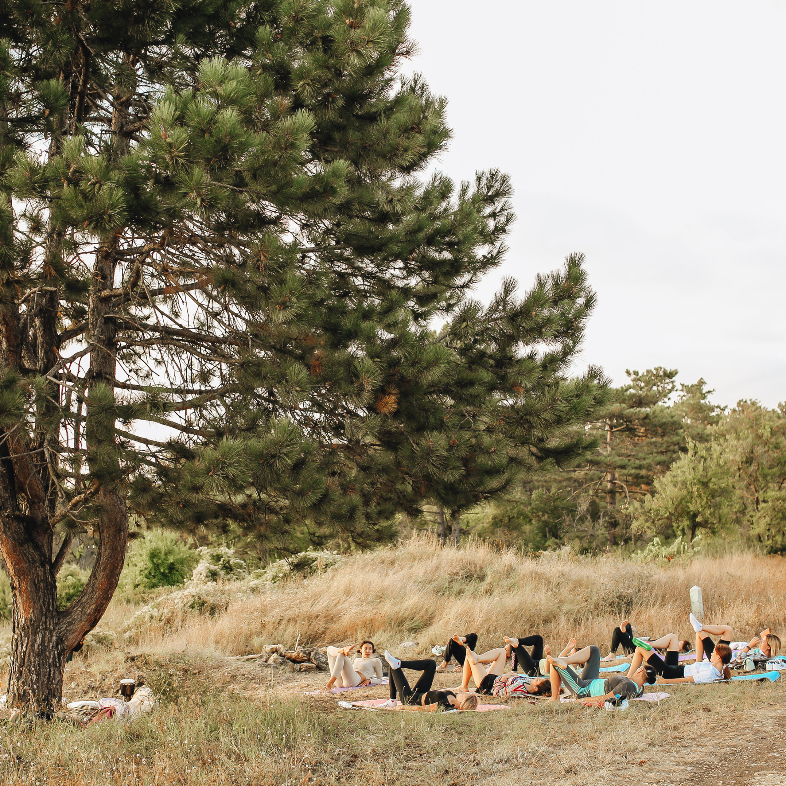 Отзывы. Свадебный и семейный фотограф в Севастополе и в Крыму