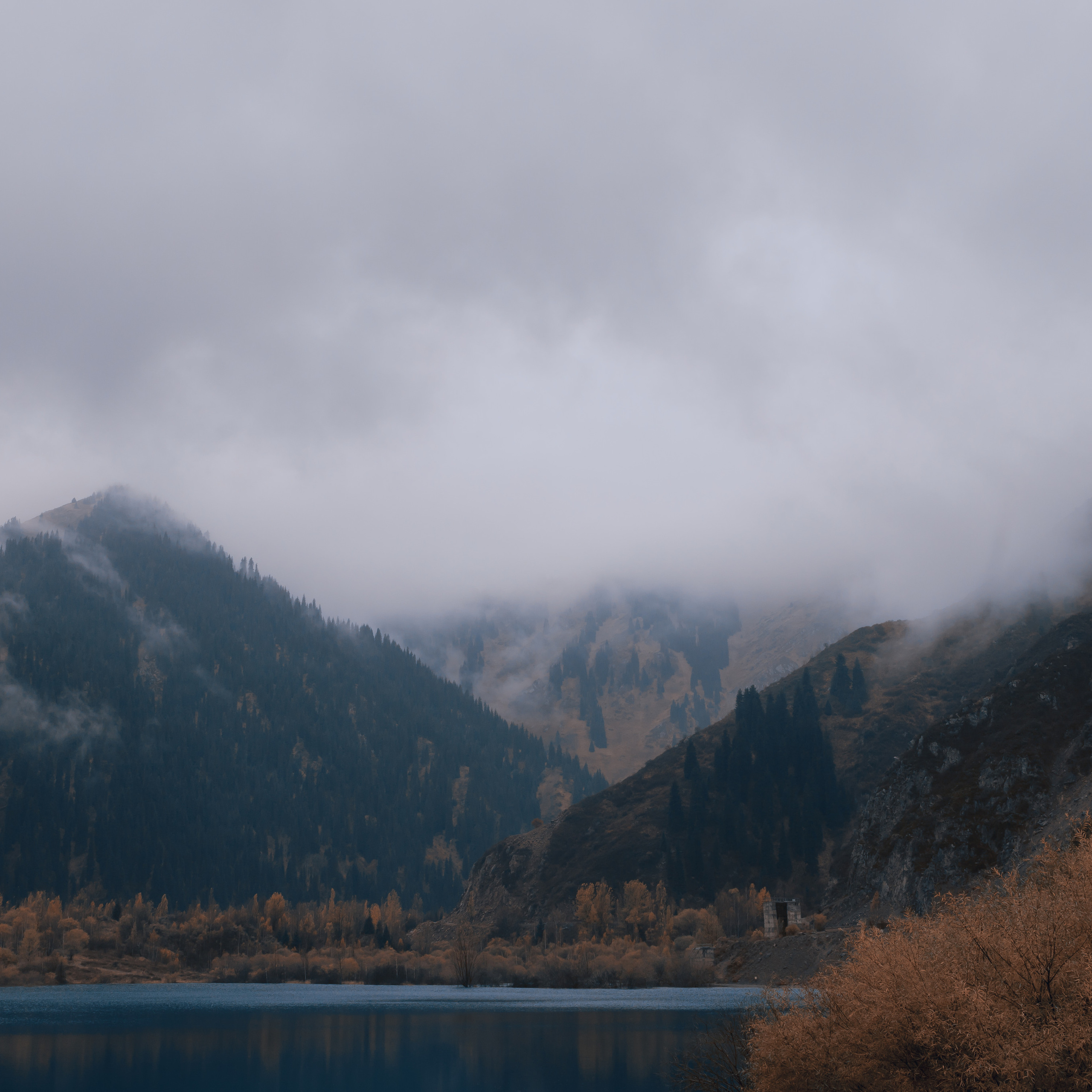 Отзывы. Портретный и репортажный фотограф в Казани Максим Сипачев